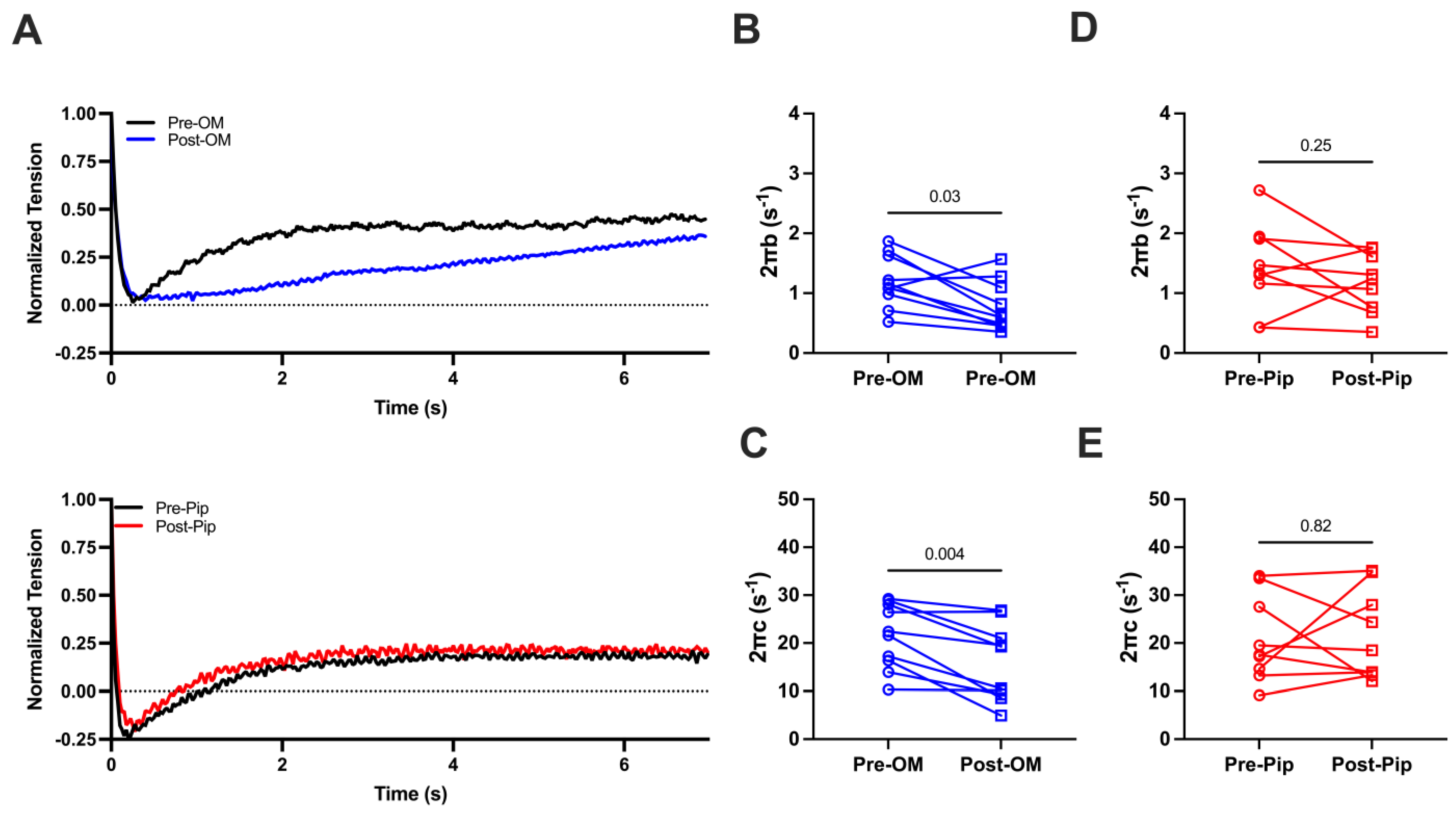 Biomedicines 13 00703 g003
