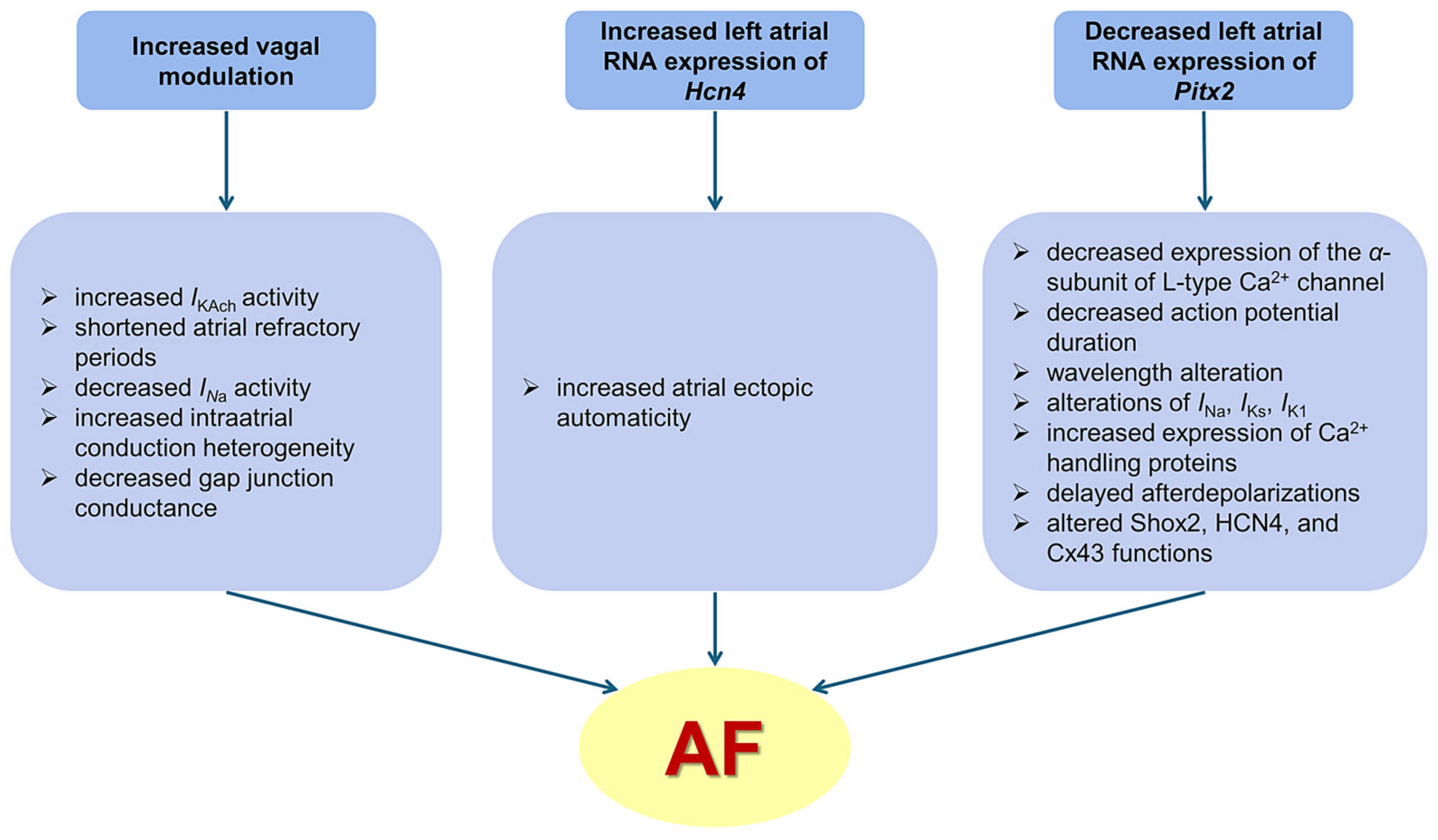 Biomedicines 13 00704 g005