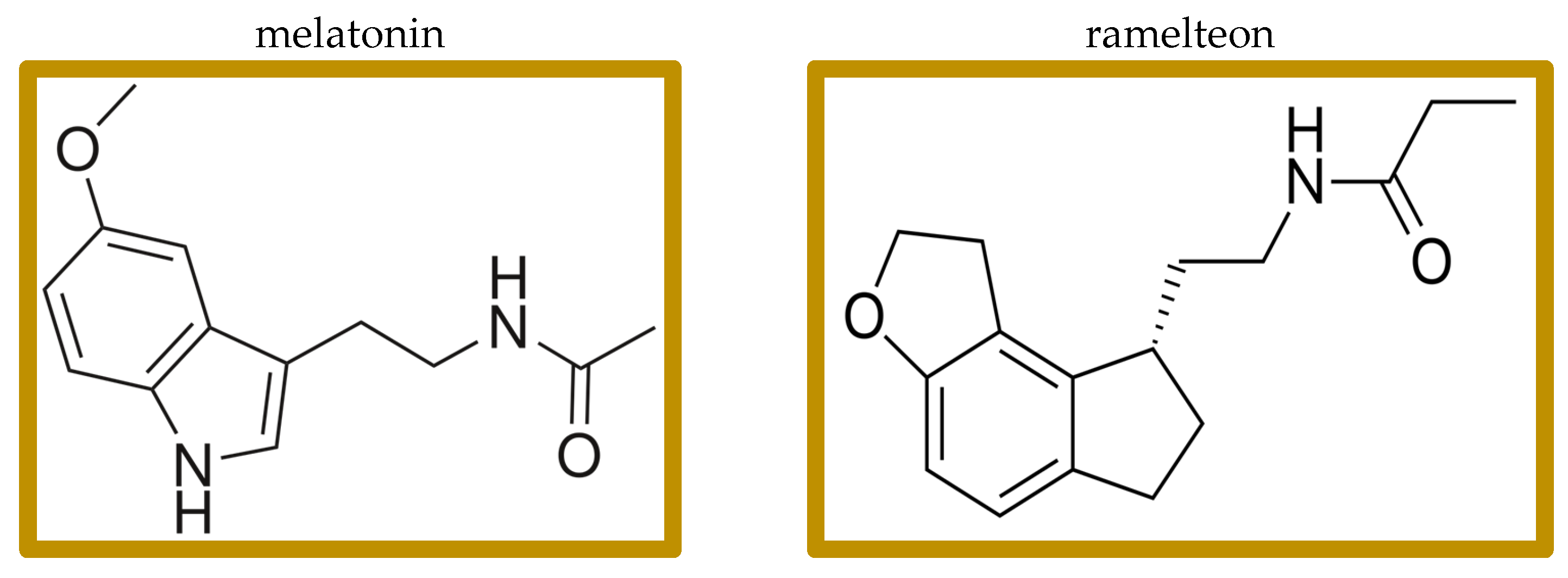 Biomedicines 13 00706 g001