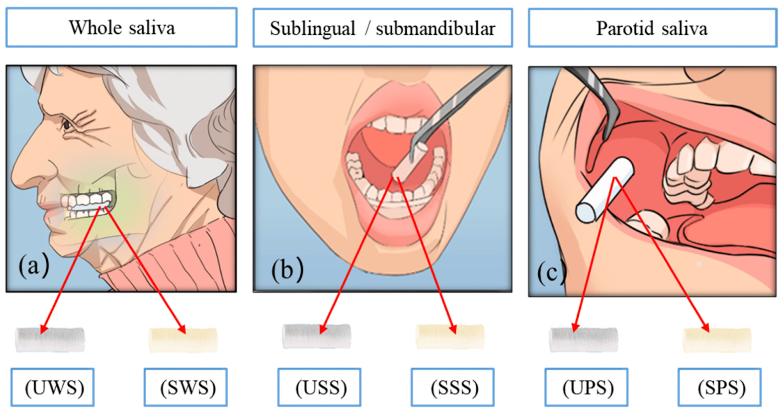 Biomedicines 13 00713 g003 Biomedicines 13 00713 g003