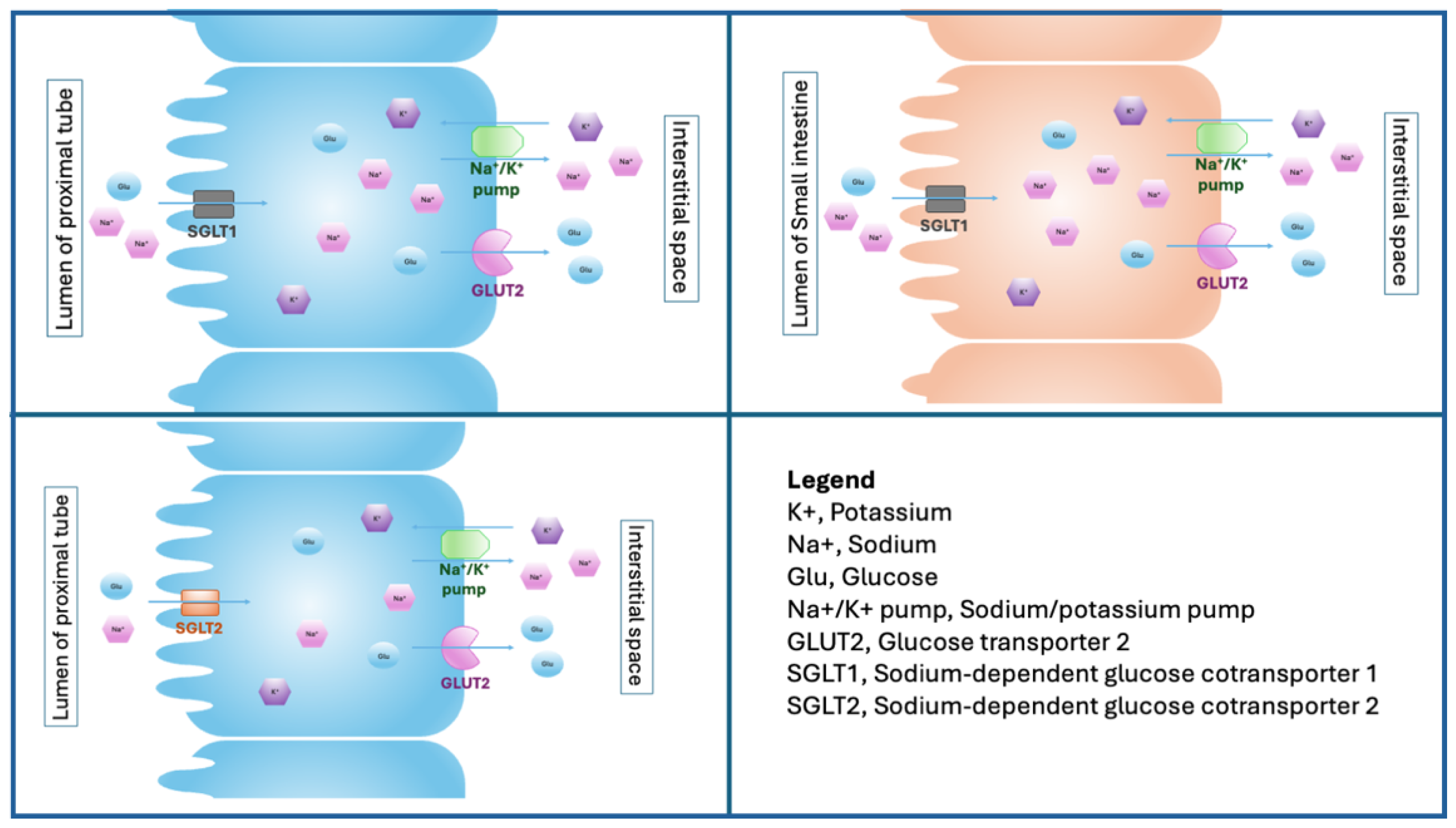 Biomedicines 13 00720 g001