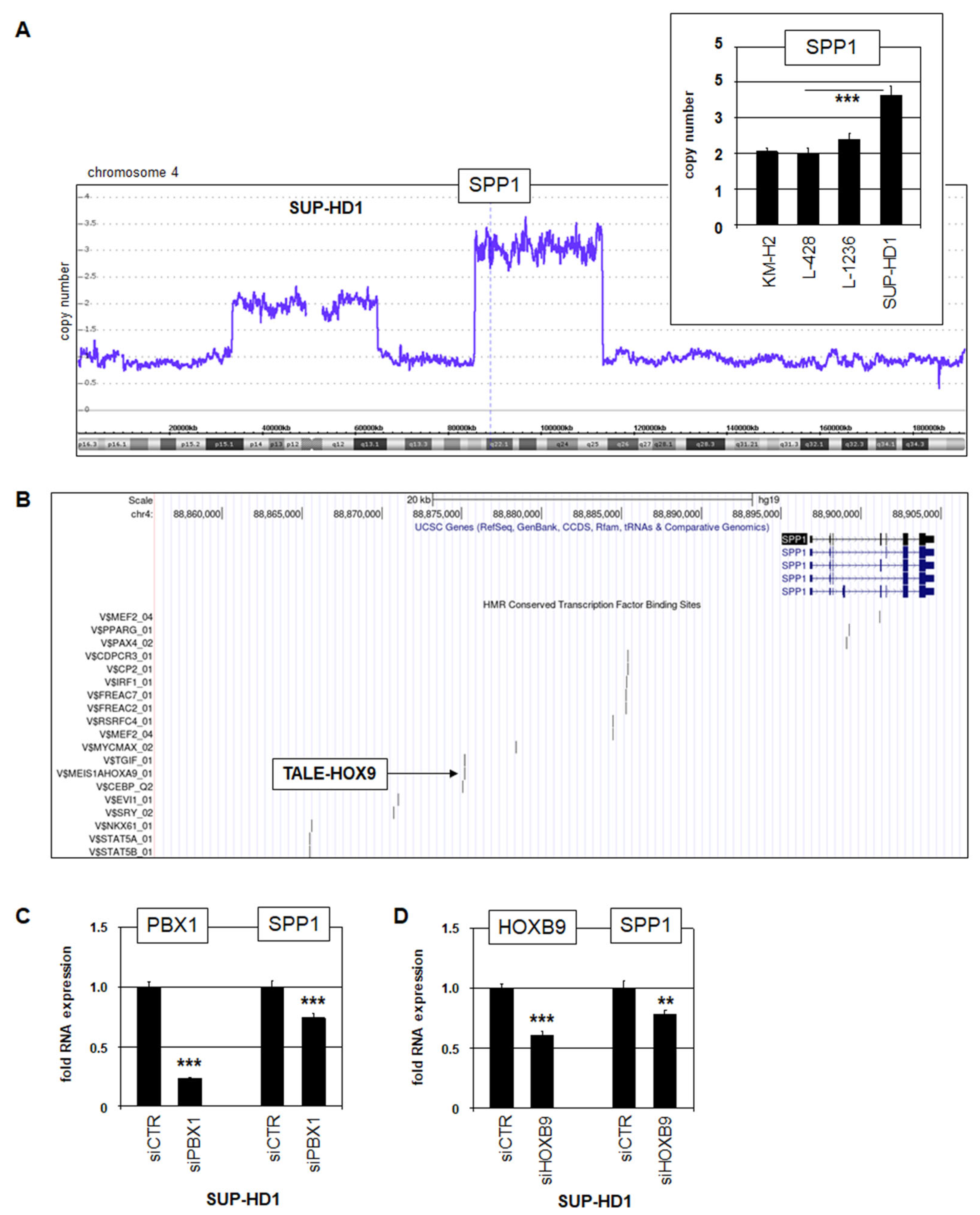 Biomedicines 13 00735 g002