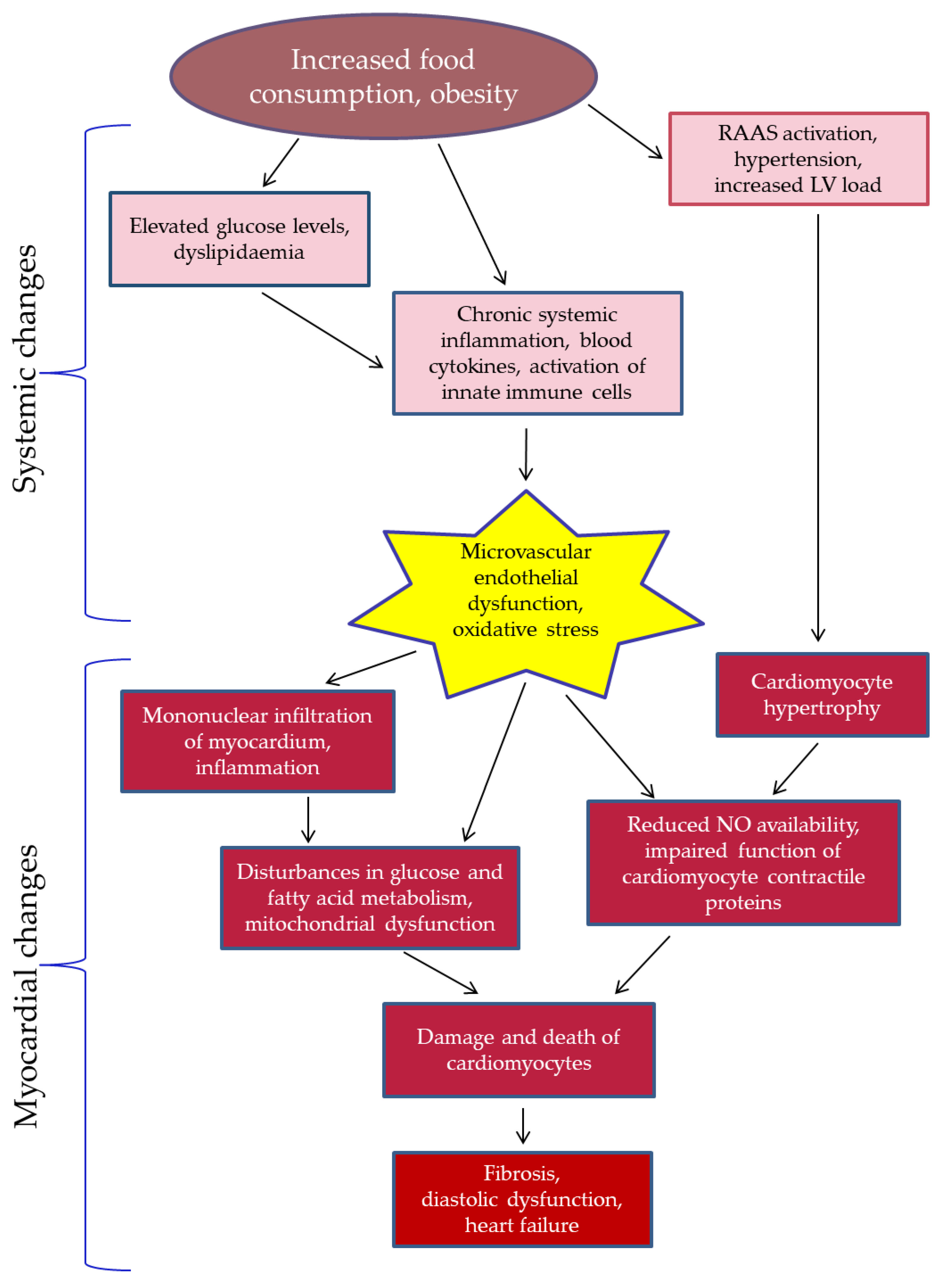 Biomedicines 13 00744 g001