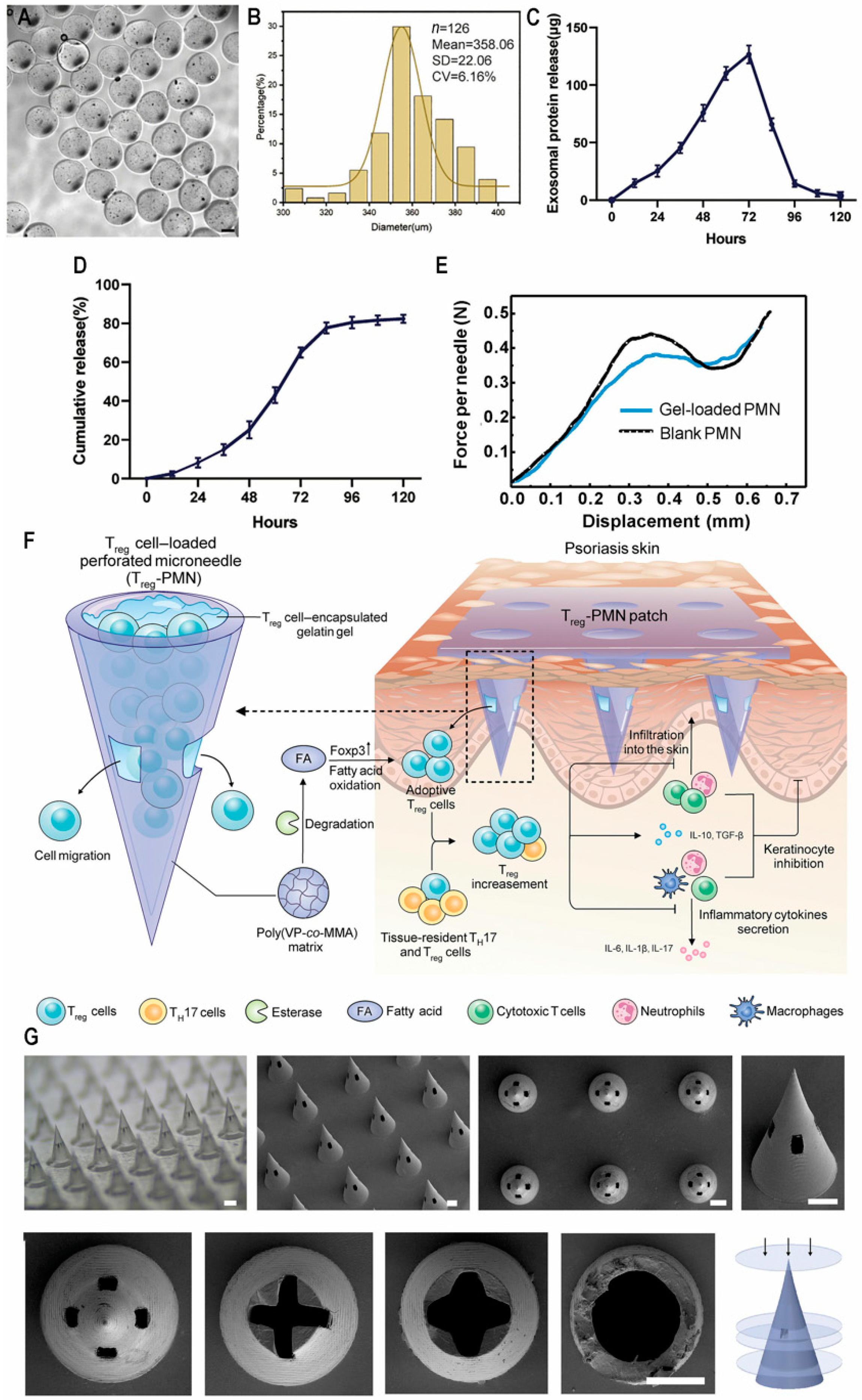 Biomedicines 13 00781 g004