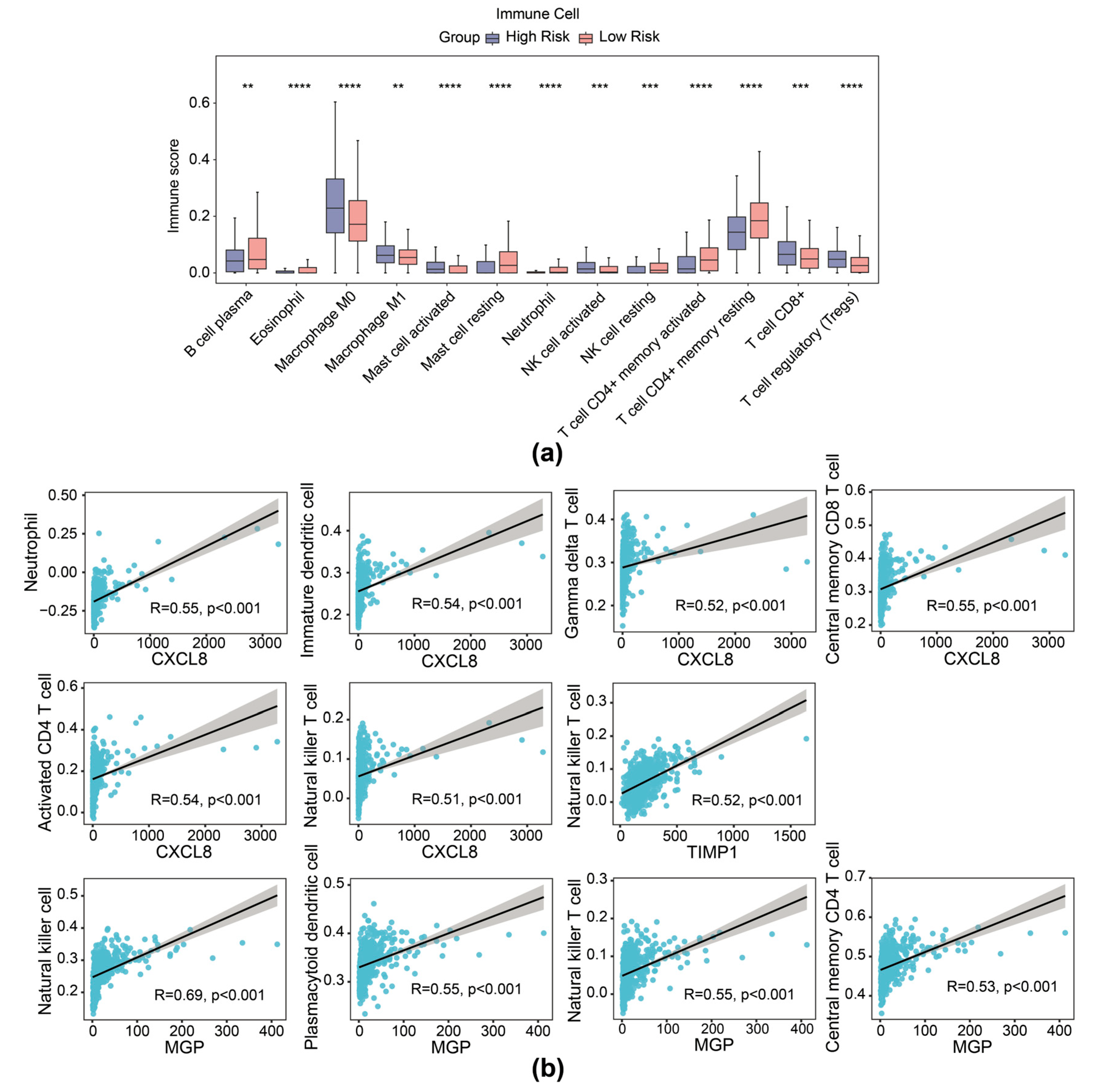 Biomedicines 13 00799 g006