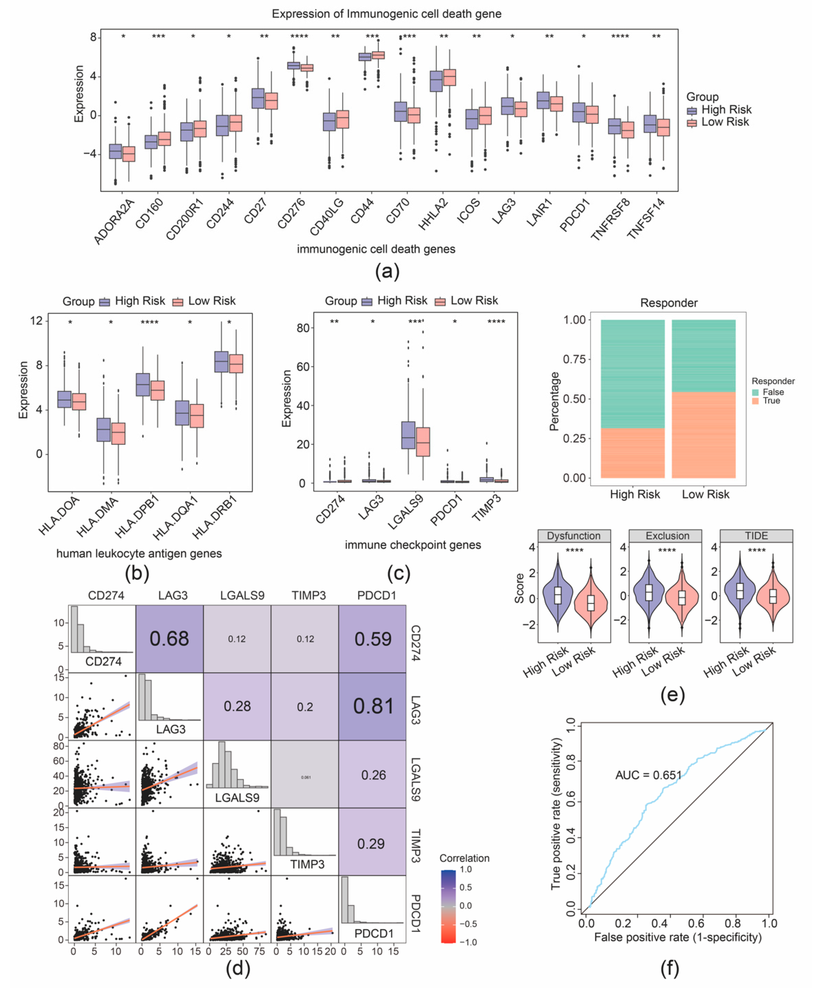 Biomedicines 13 00799 g007