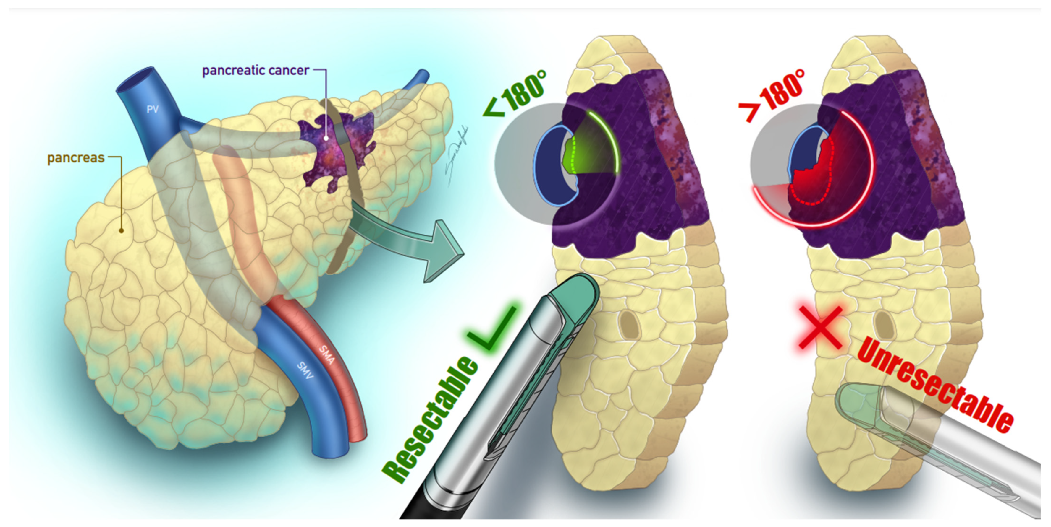 Biomedicines 13 00836 g001