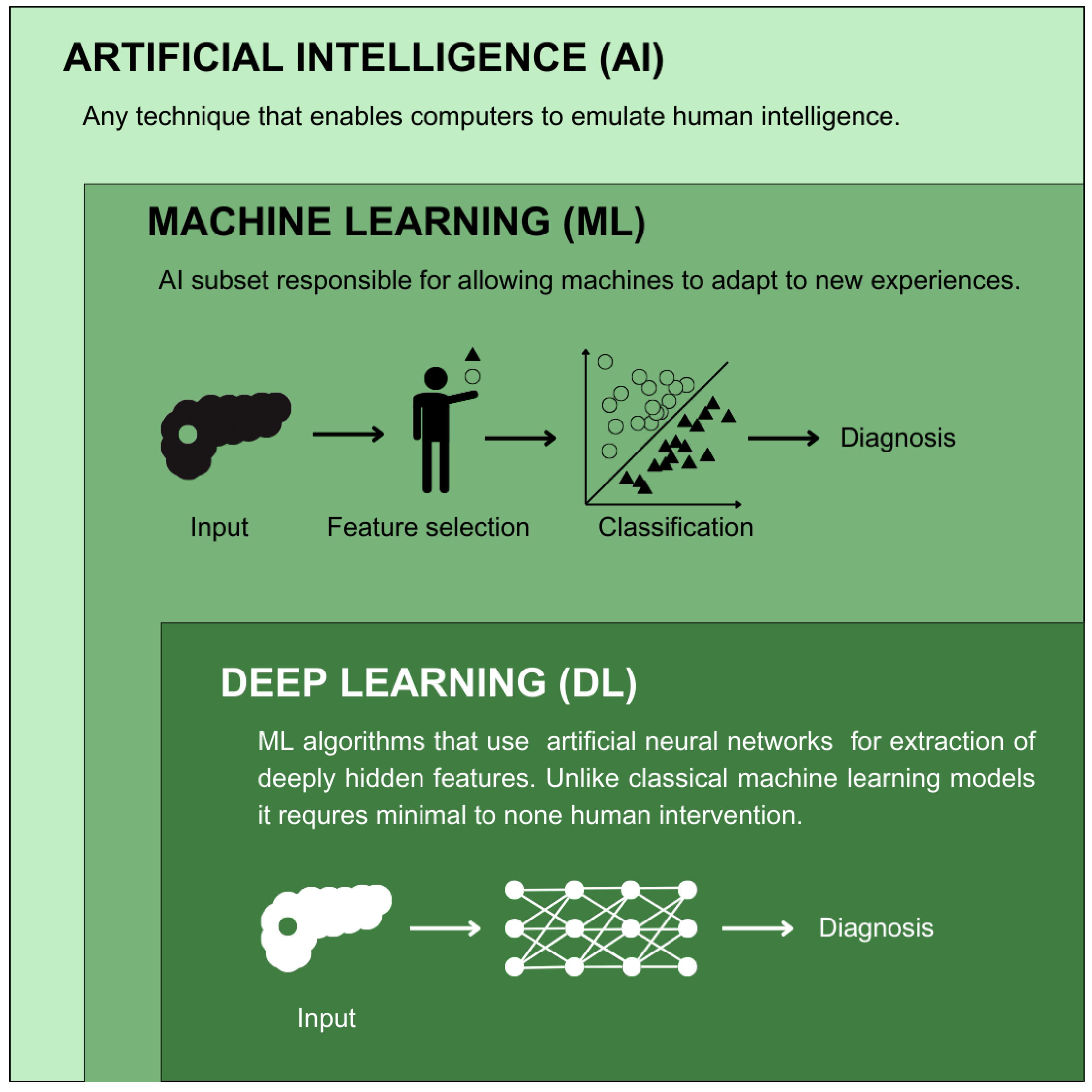 Biomedicines 13 00836 g002