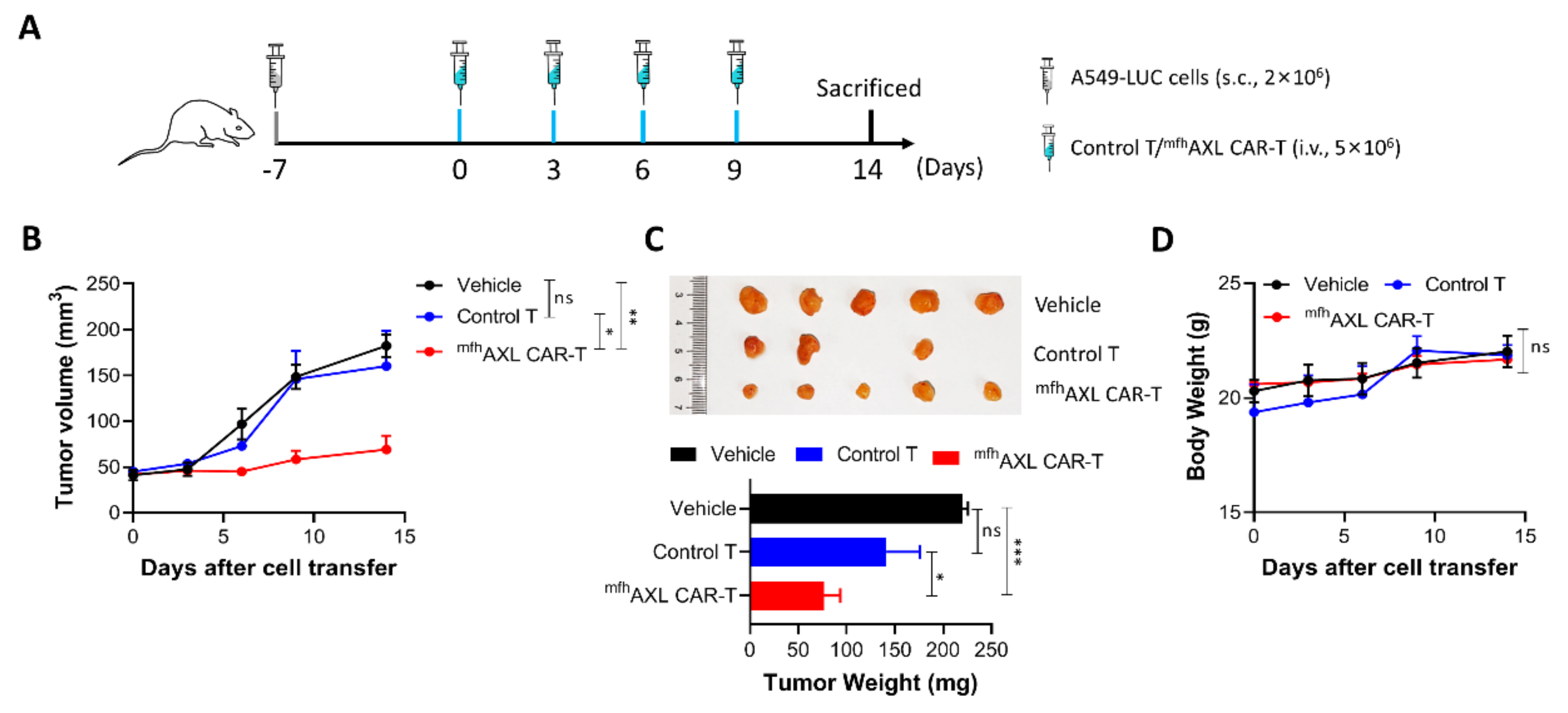 Biomedicines 13 00844 g005