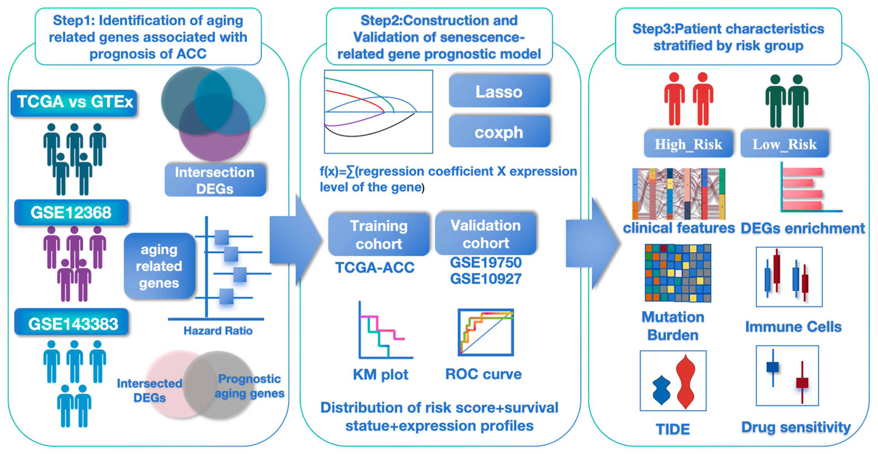 Biomedicines 13 00894 g001