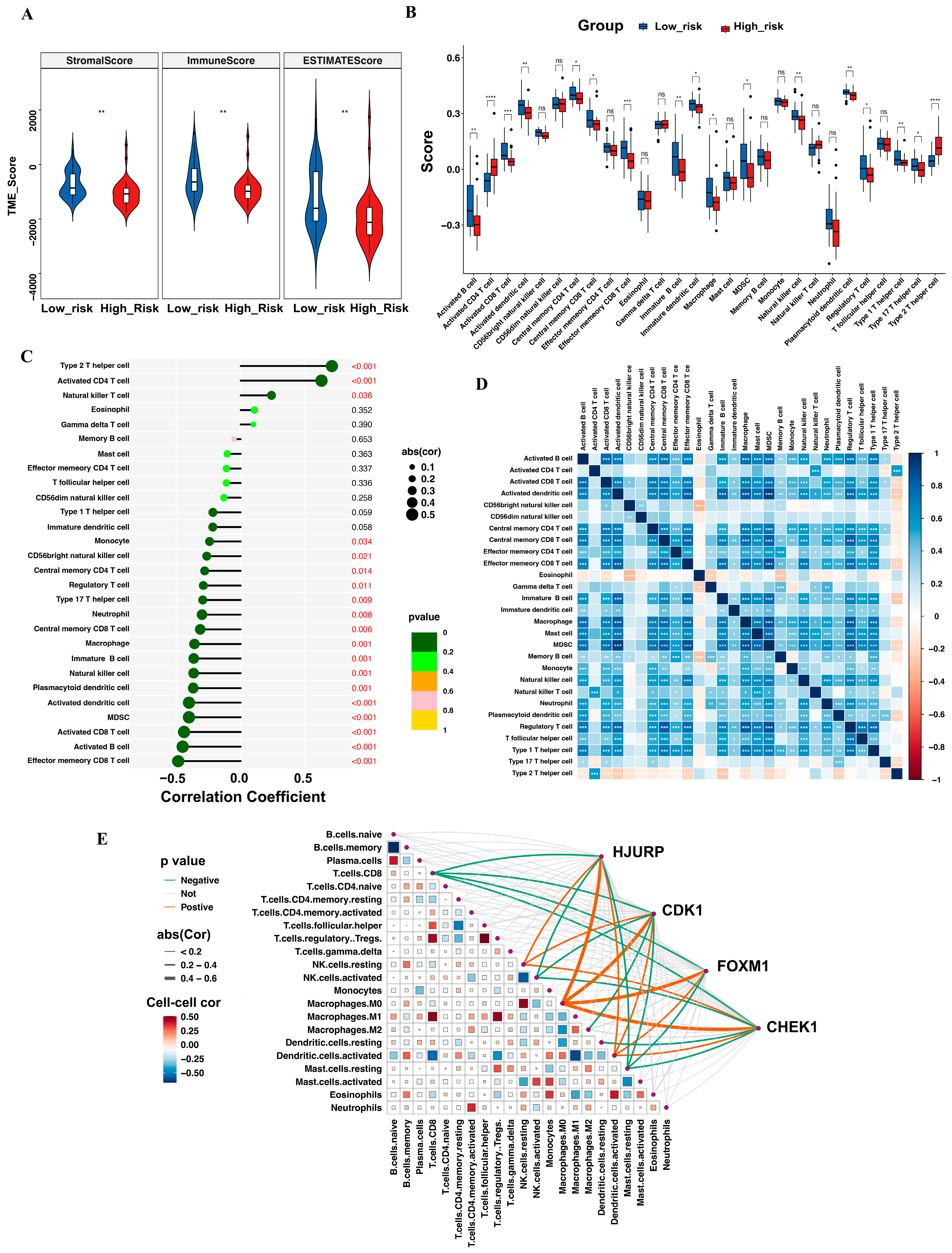Biomedicines 13 00894 g005
