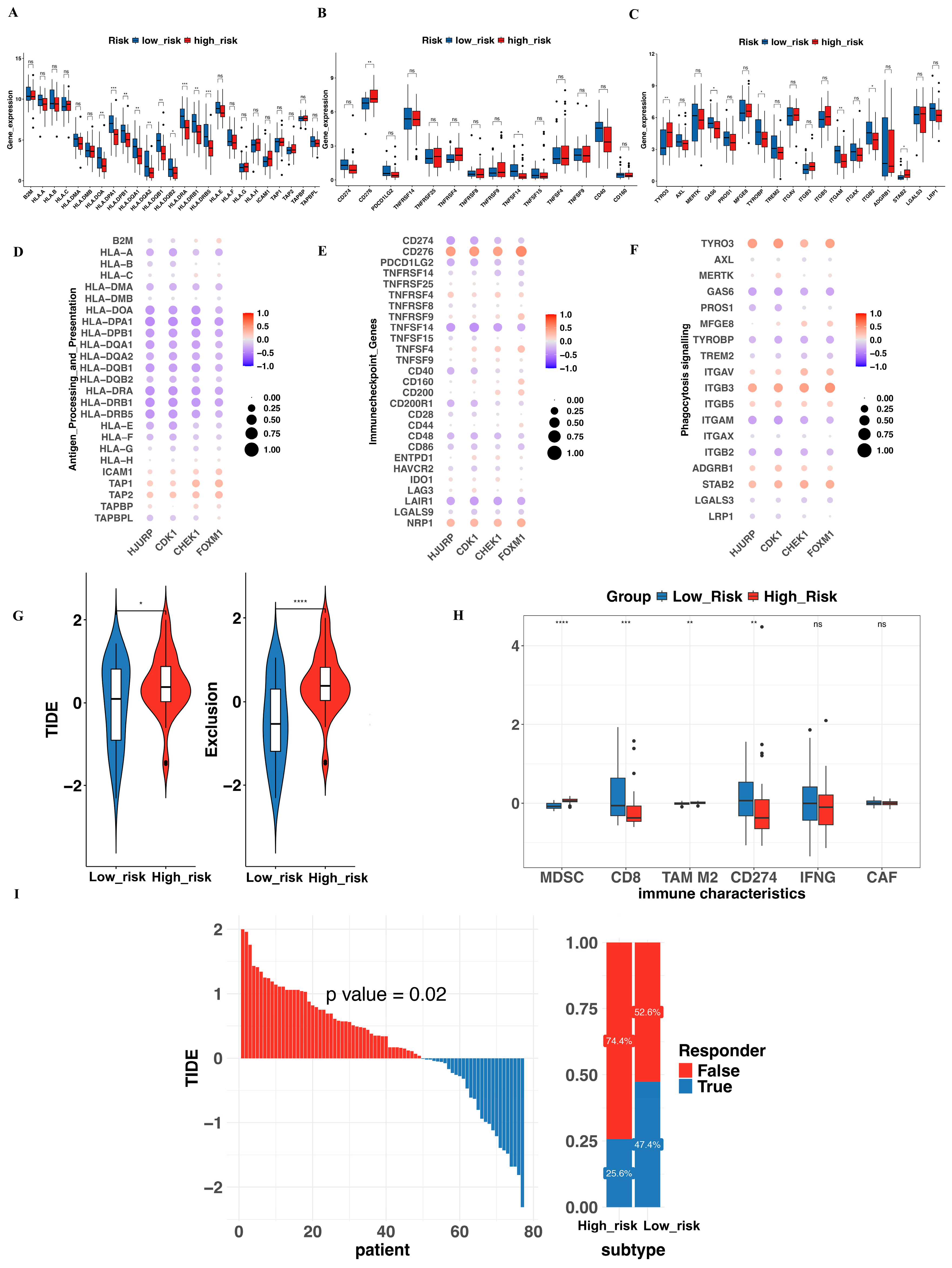 Biomedicines 13 00894 g006