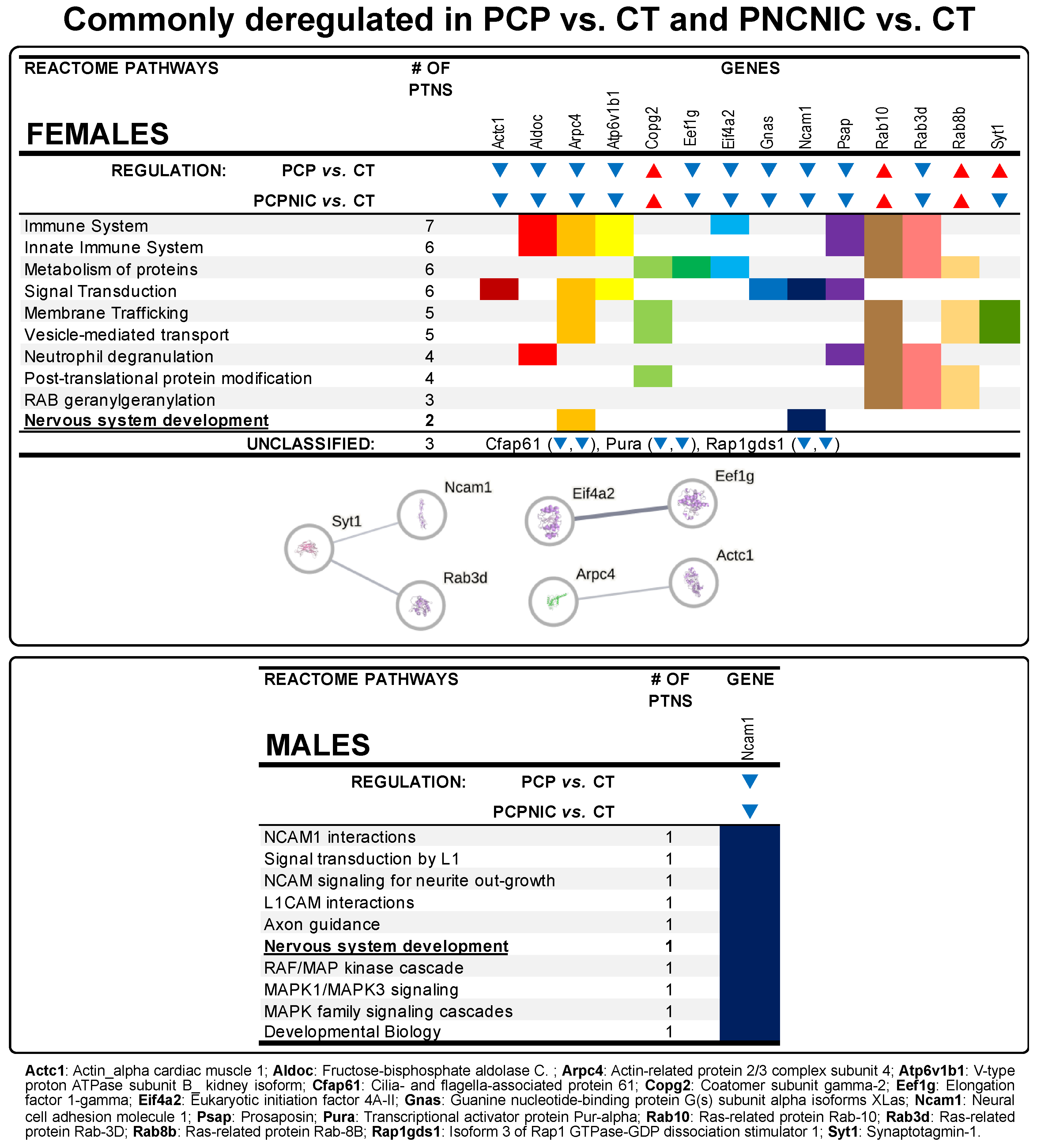 Biomedicines 13 00901 g004