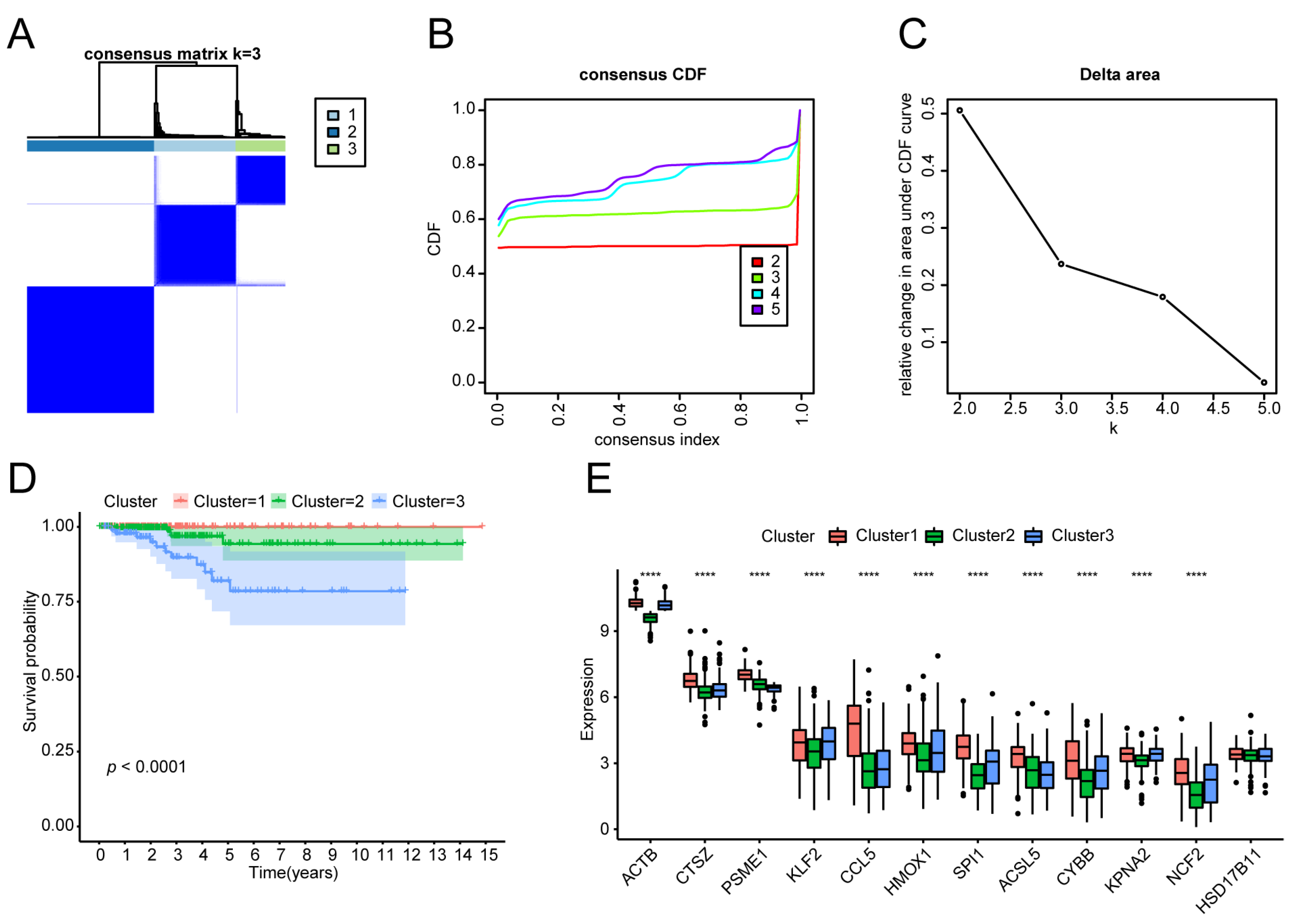 Biomedicines 13 00903 g004
