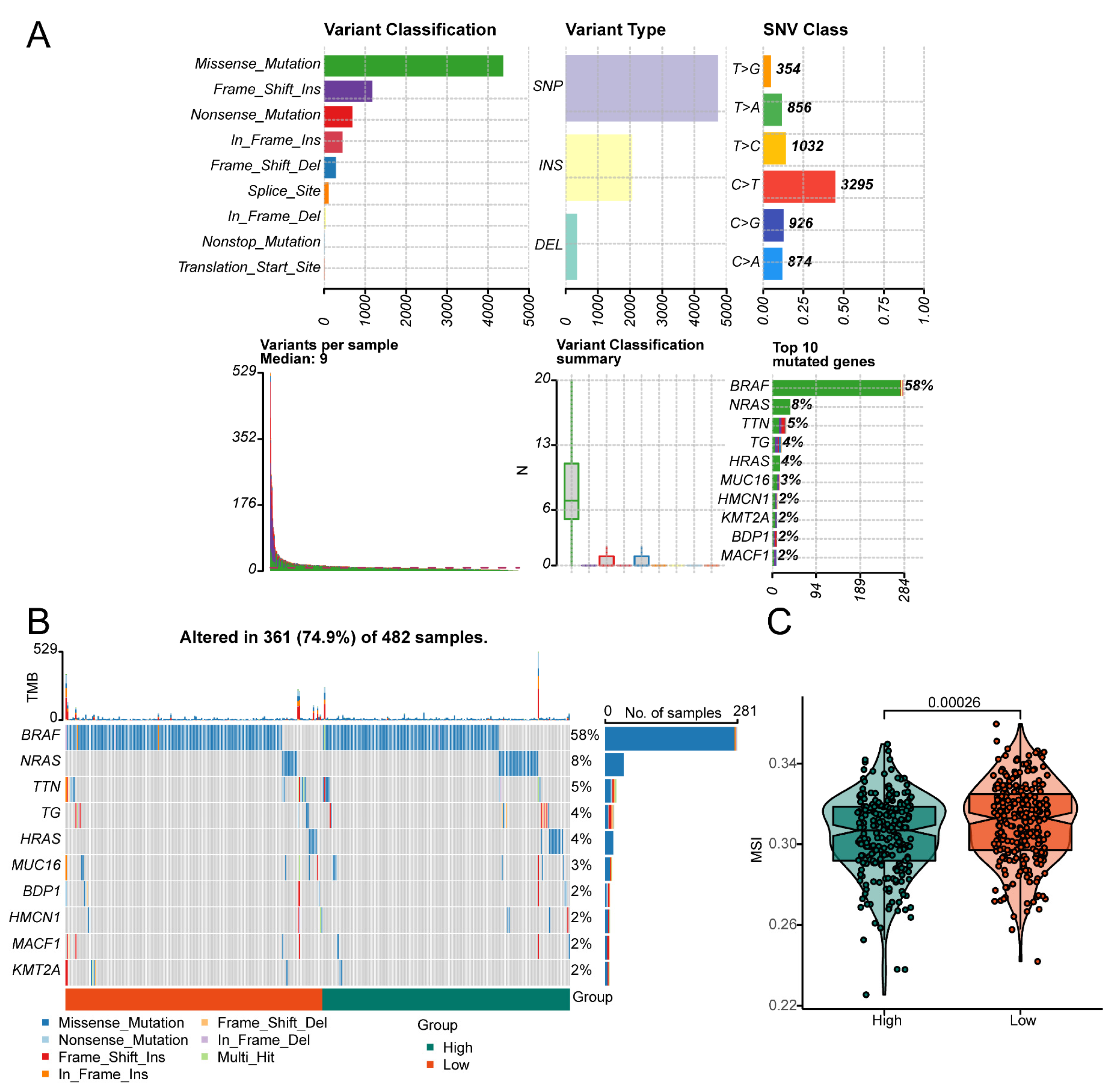 Biomedicines 13 00903 g008