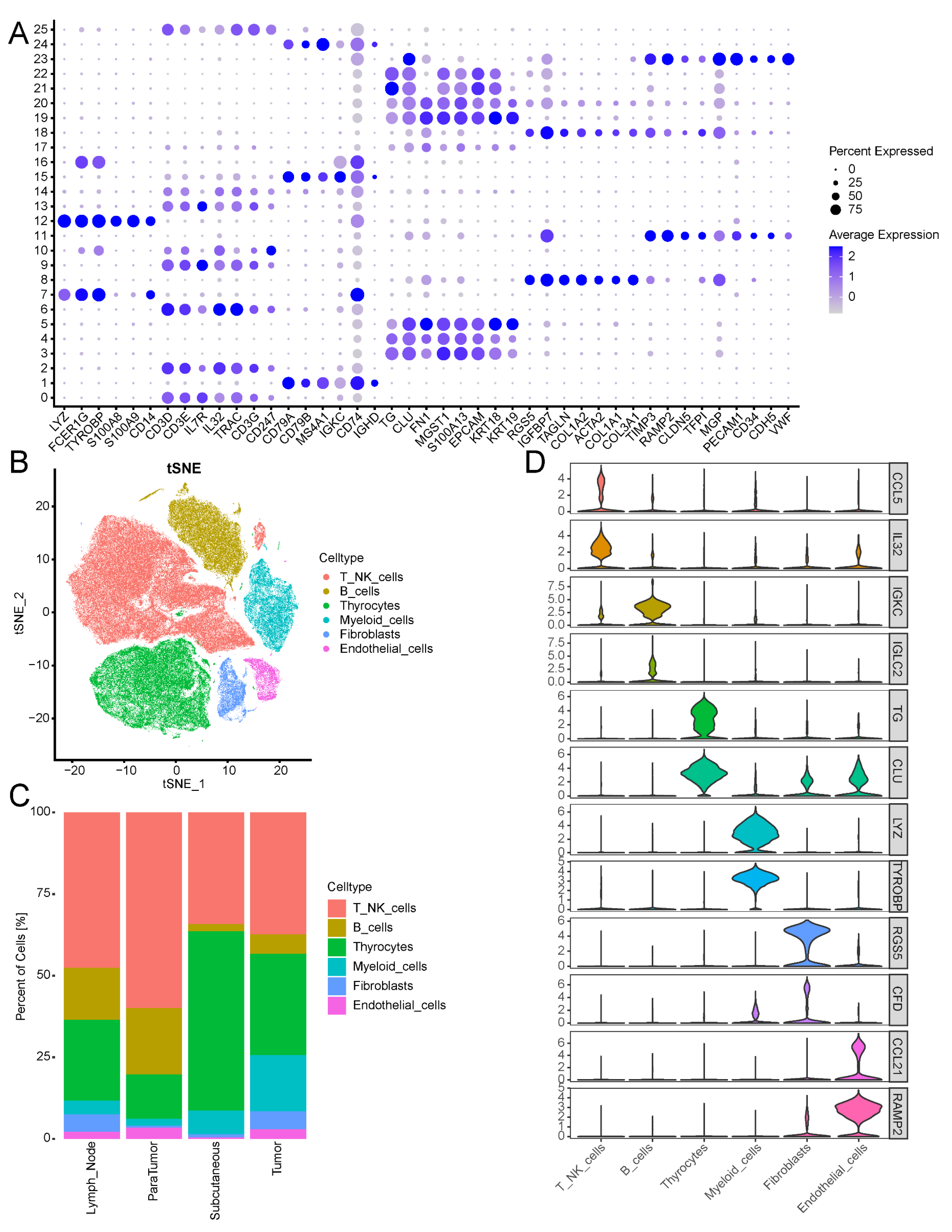 Biomedicines 13 00903 g011