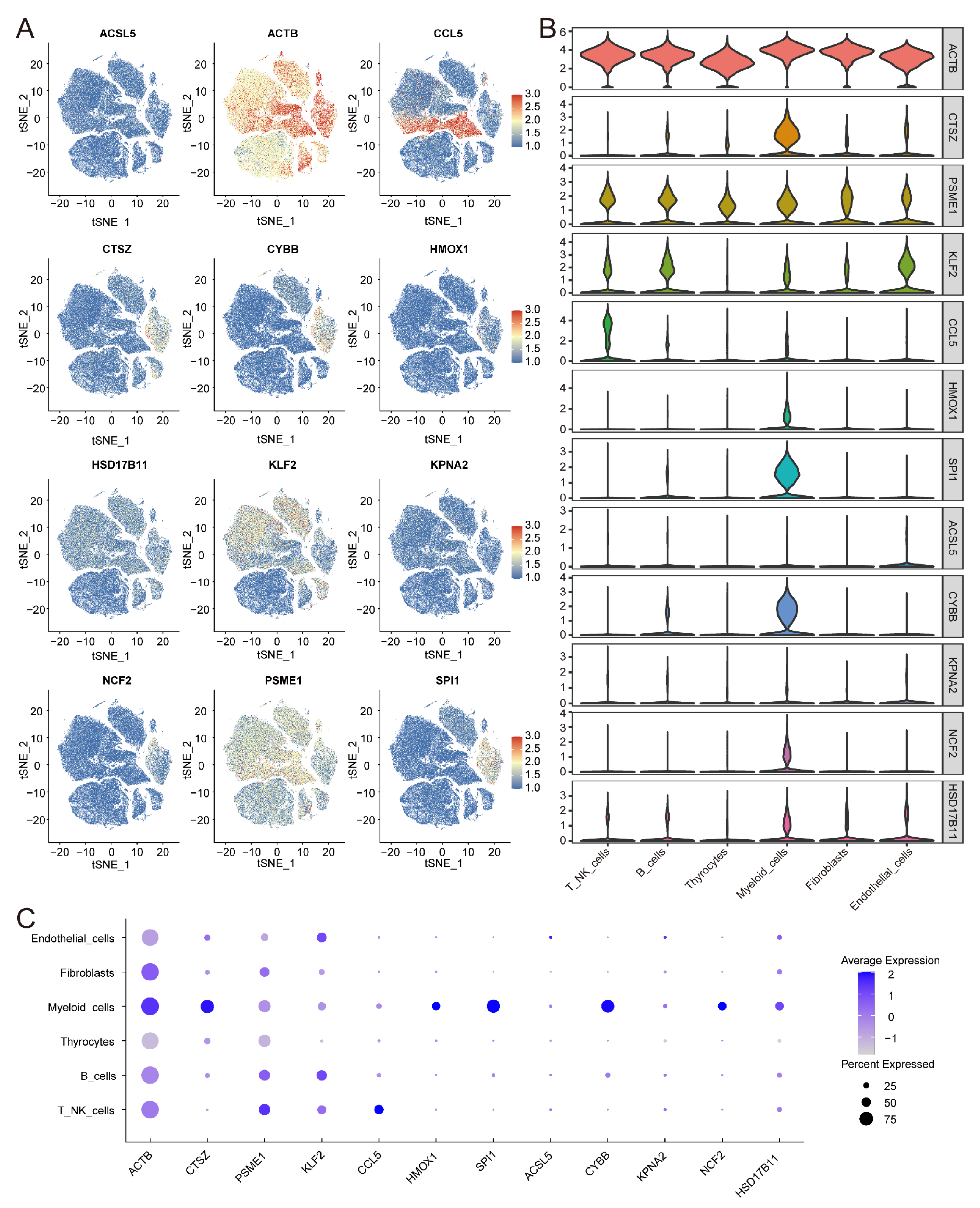 Biomedicines 13 00903 g013