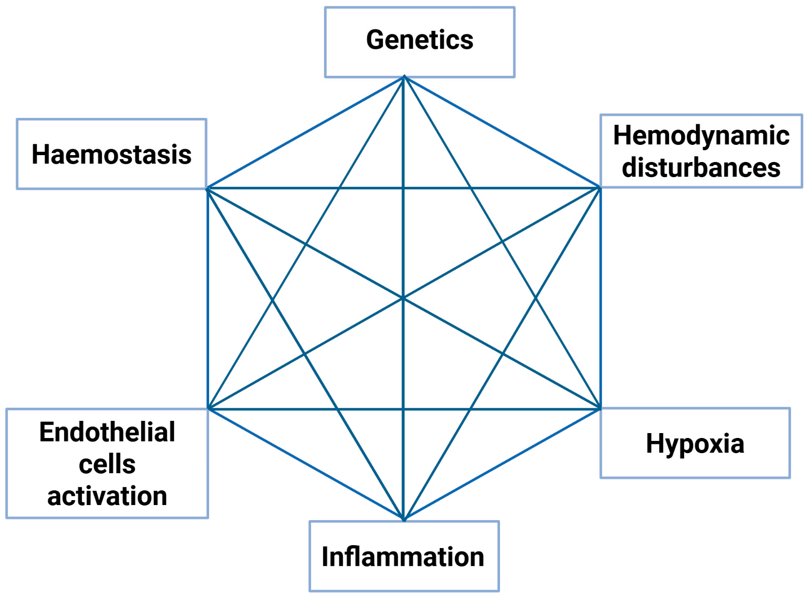 Biomedicines 13 00906 g001