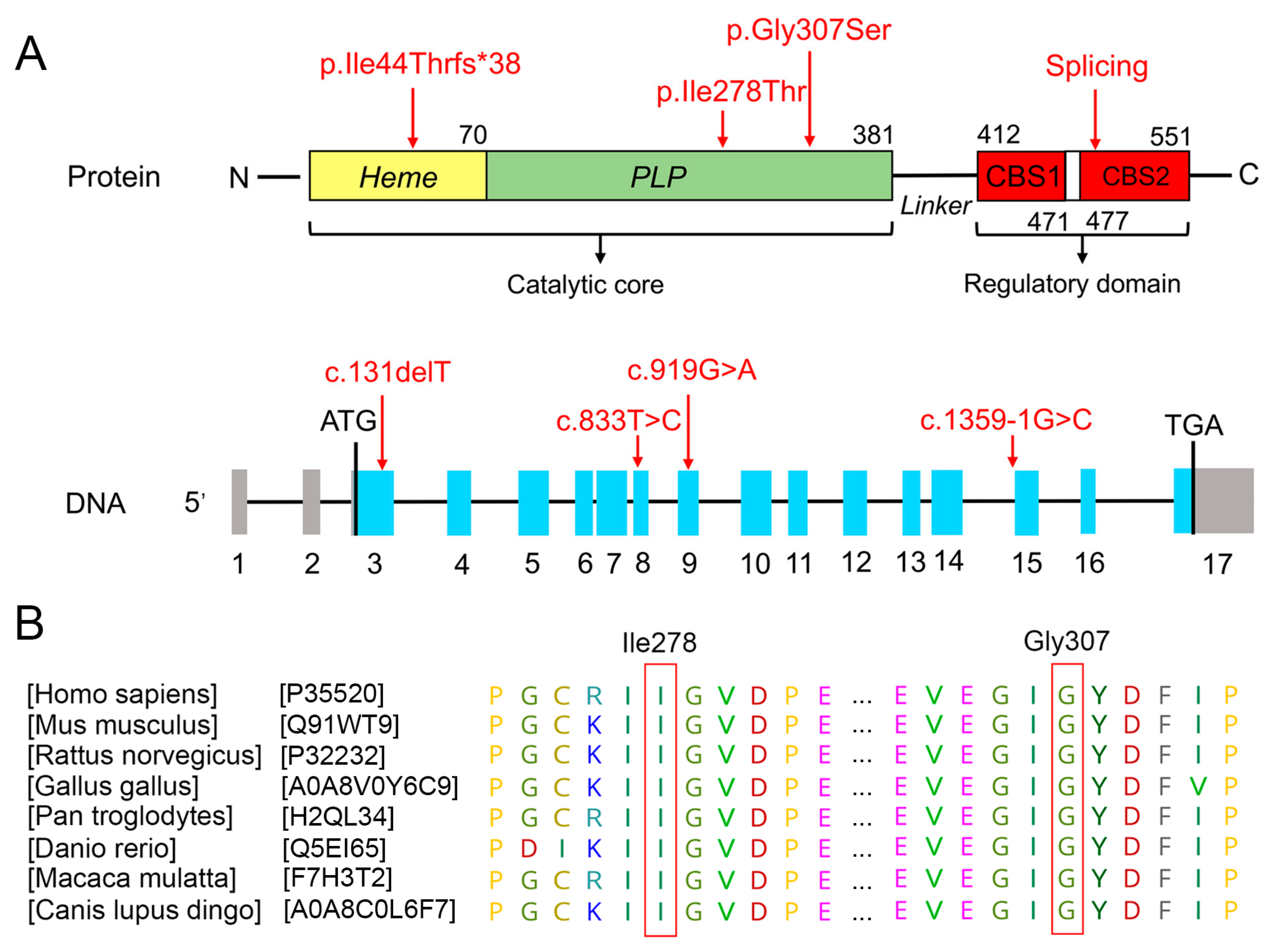 Biomedicines 13 00919 g002