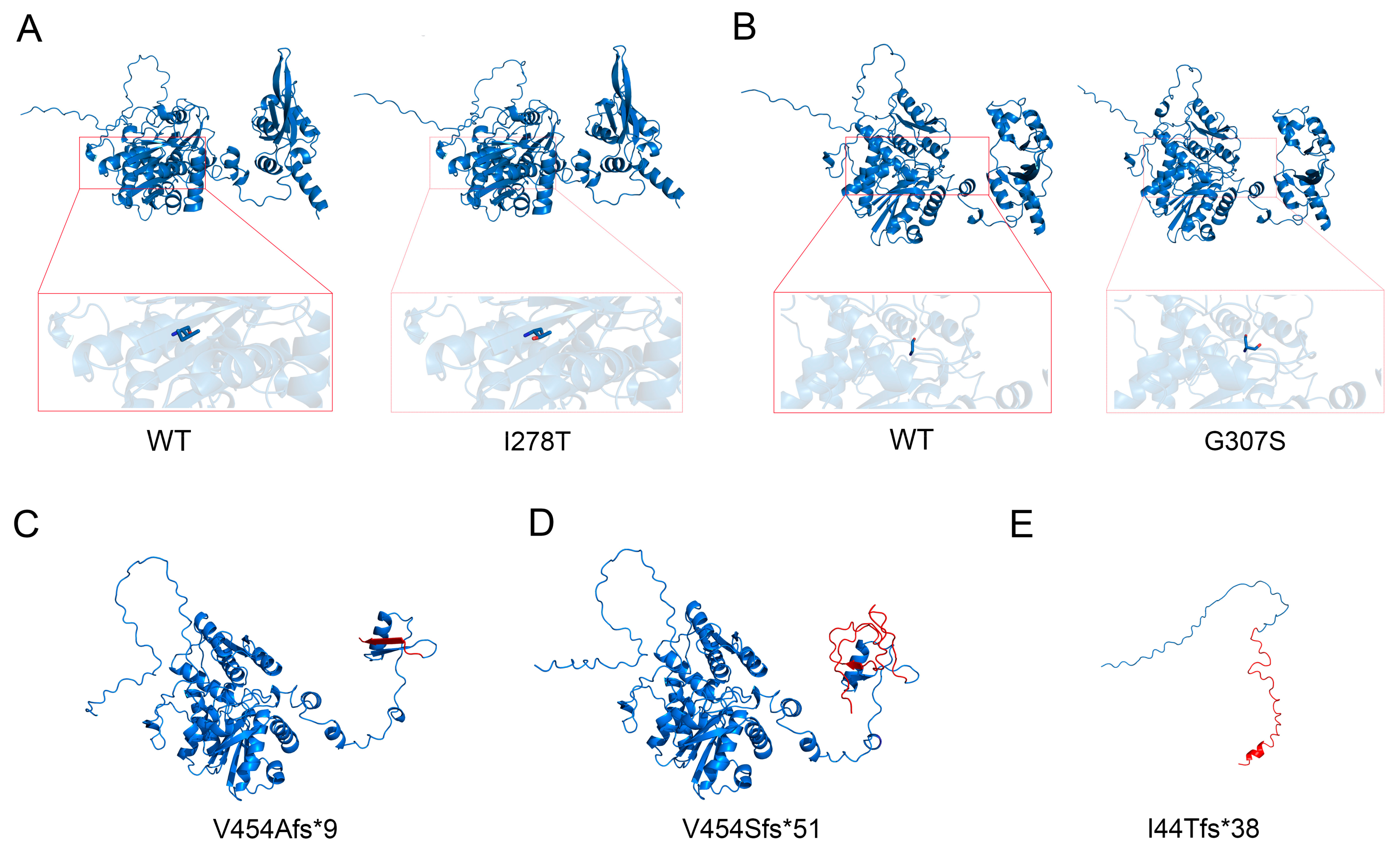 Biomedicines 13 00919 g005