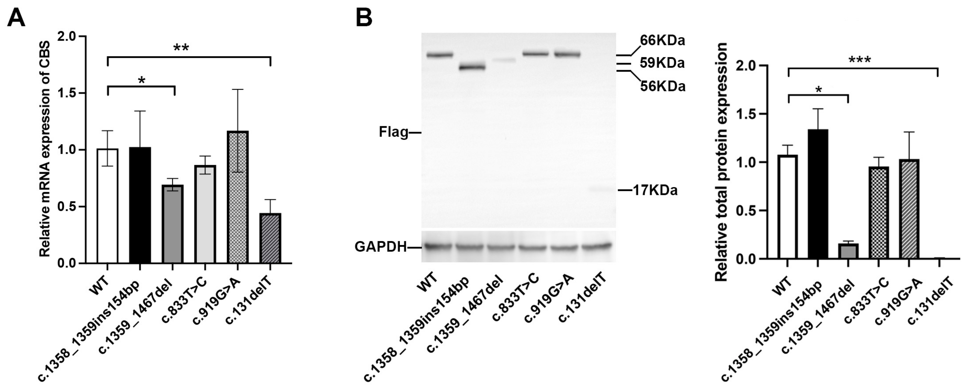 Biomedicines 13 00919 g006
