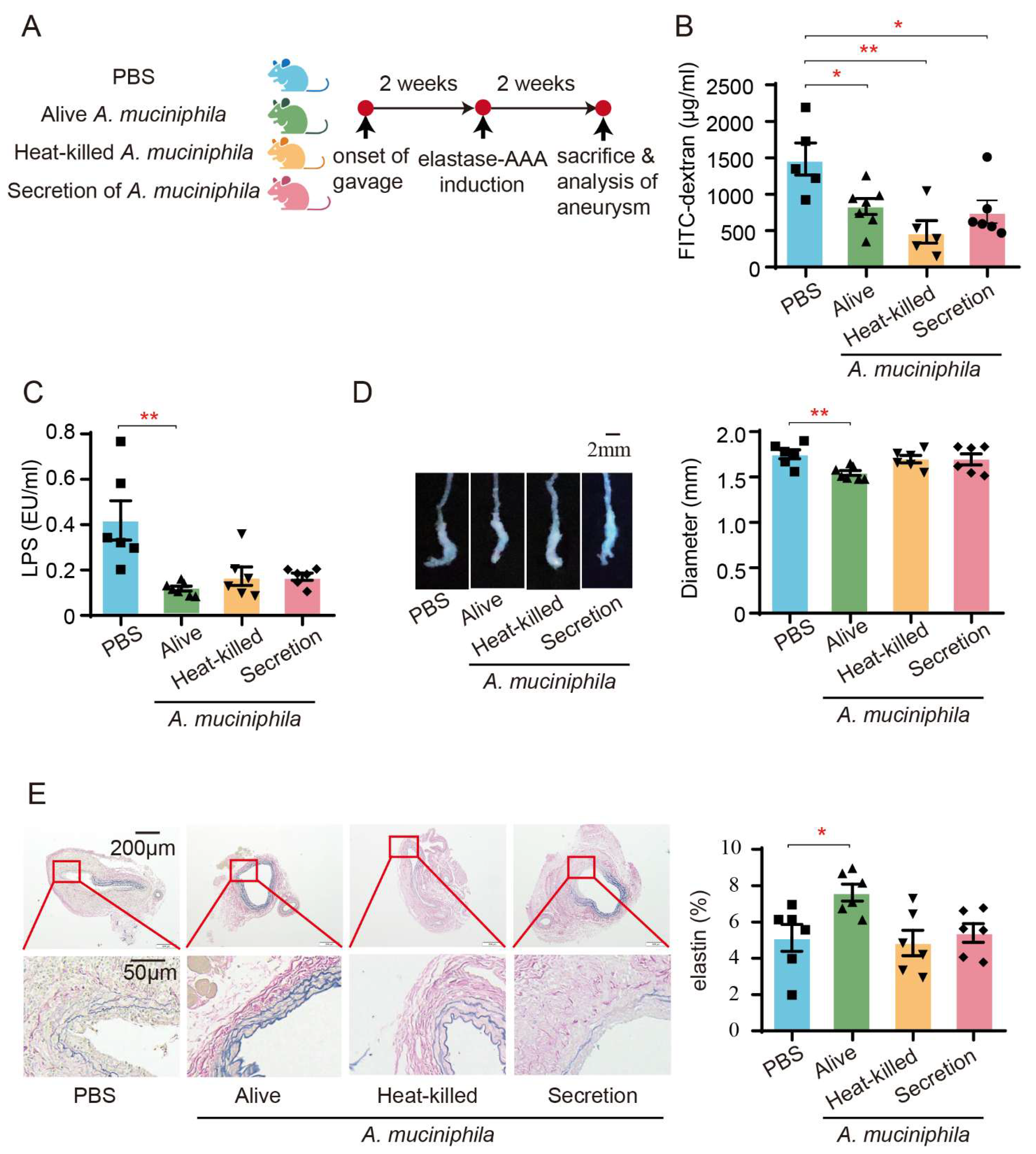 Biomedicines 13 00920 g006