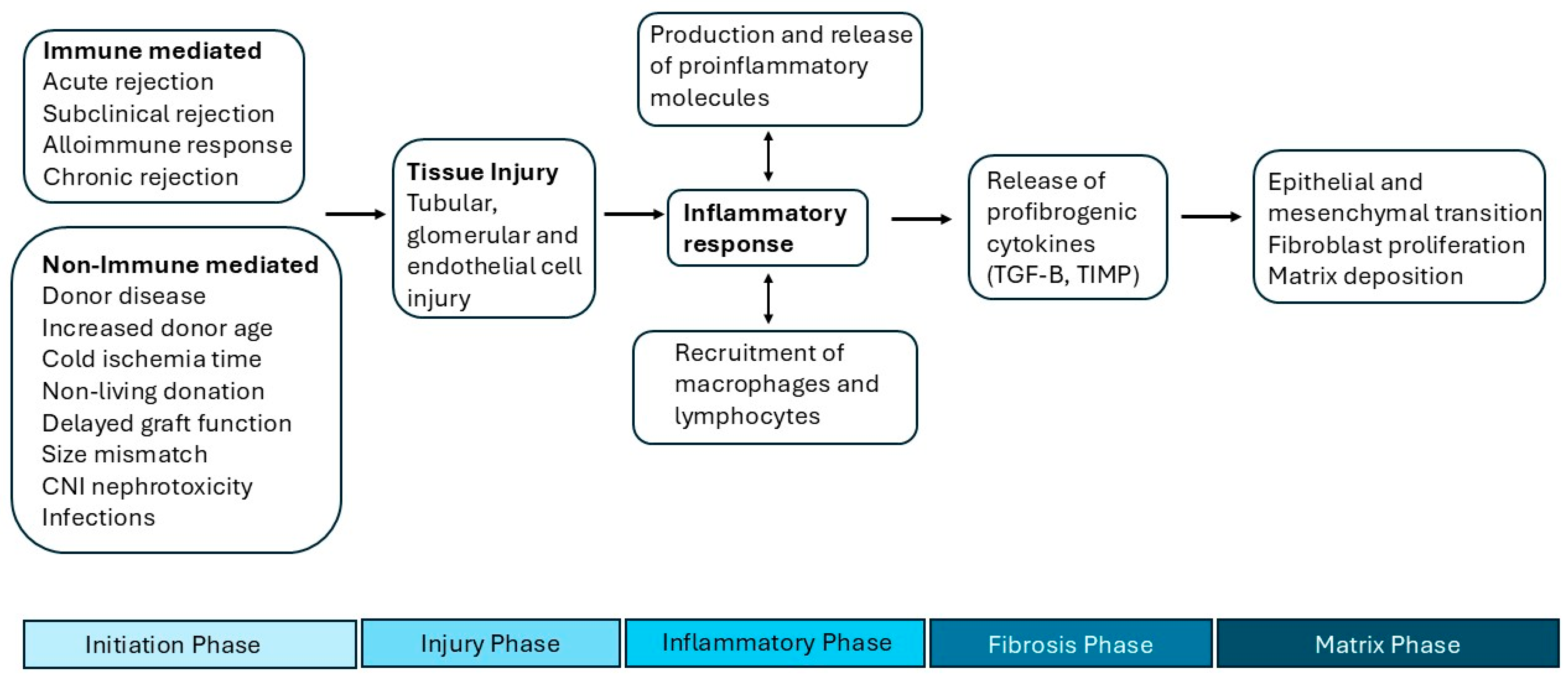 Biomedicines 13 00929 g001