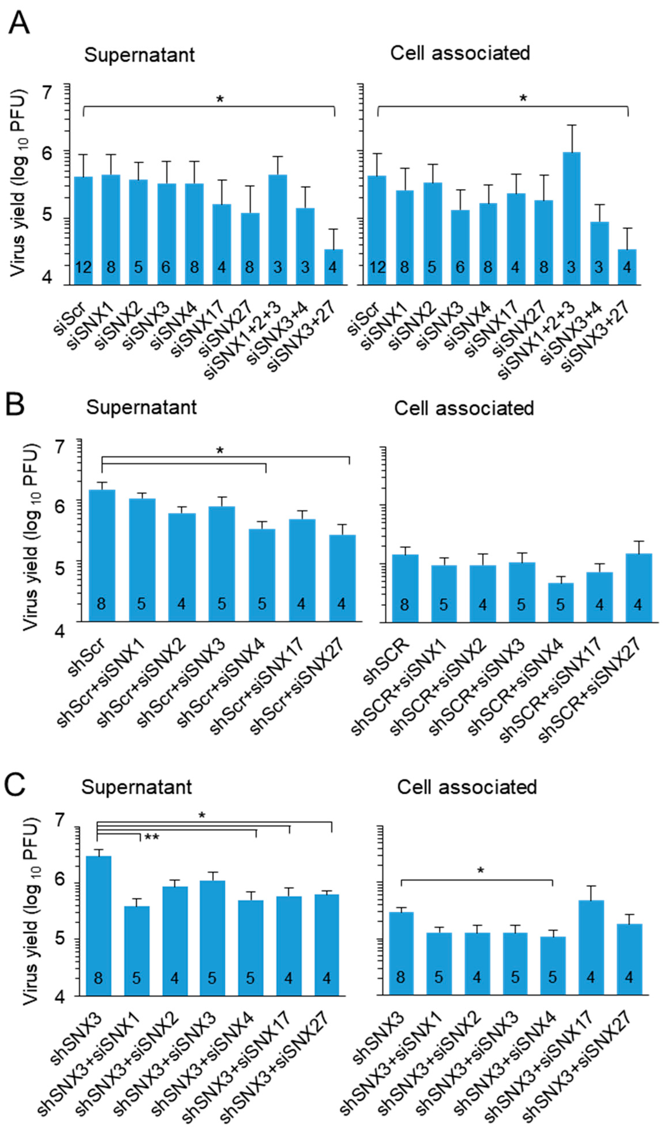 Biomedicines 13 00936 g005