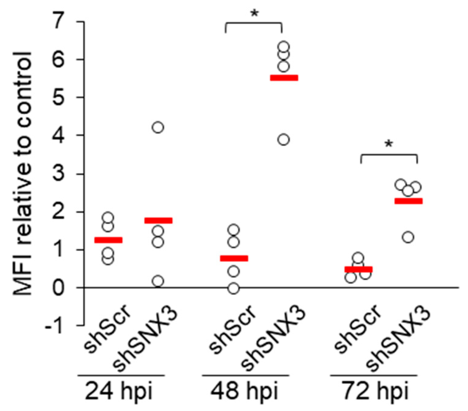 Biomedicines 13 00936 g006