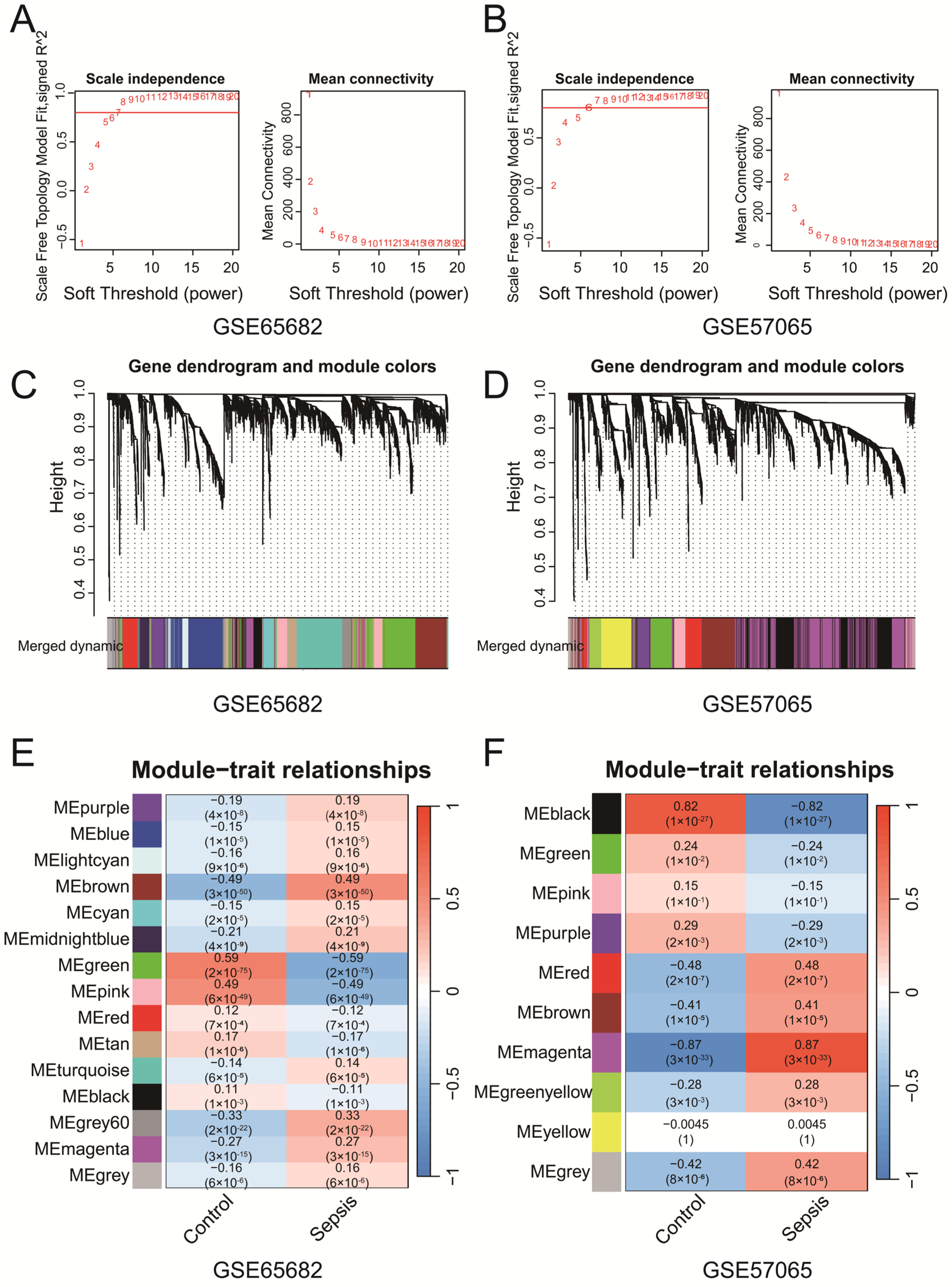 Biomedicines 13 00942 g002