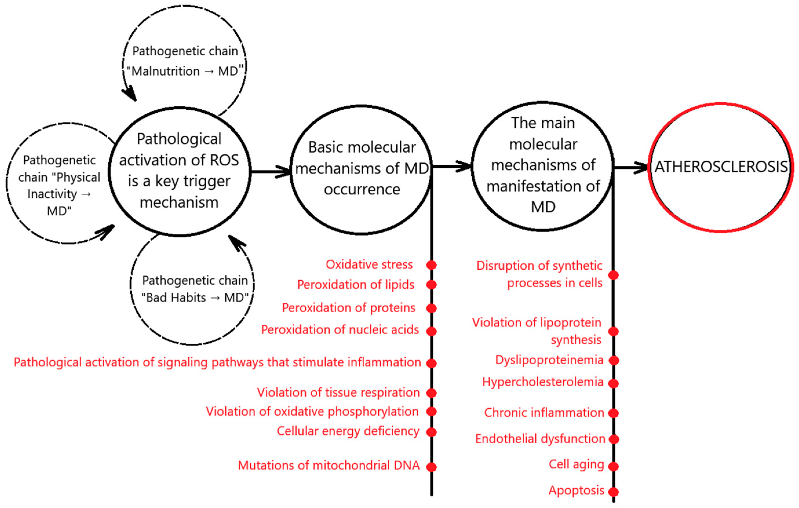 Biomedicines 13 00963 g001 Biomedicines 13 00963 g001