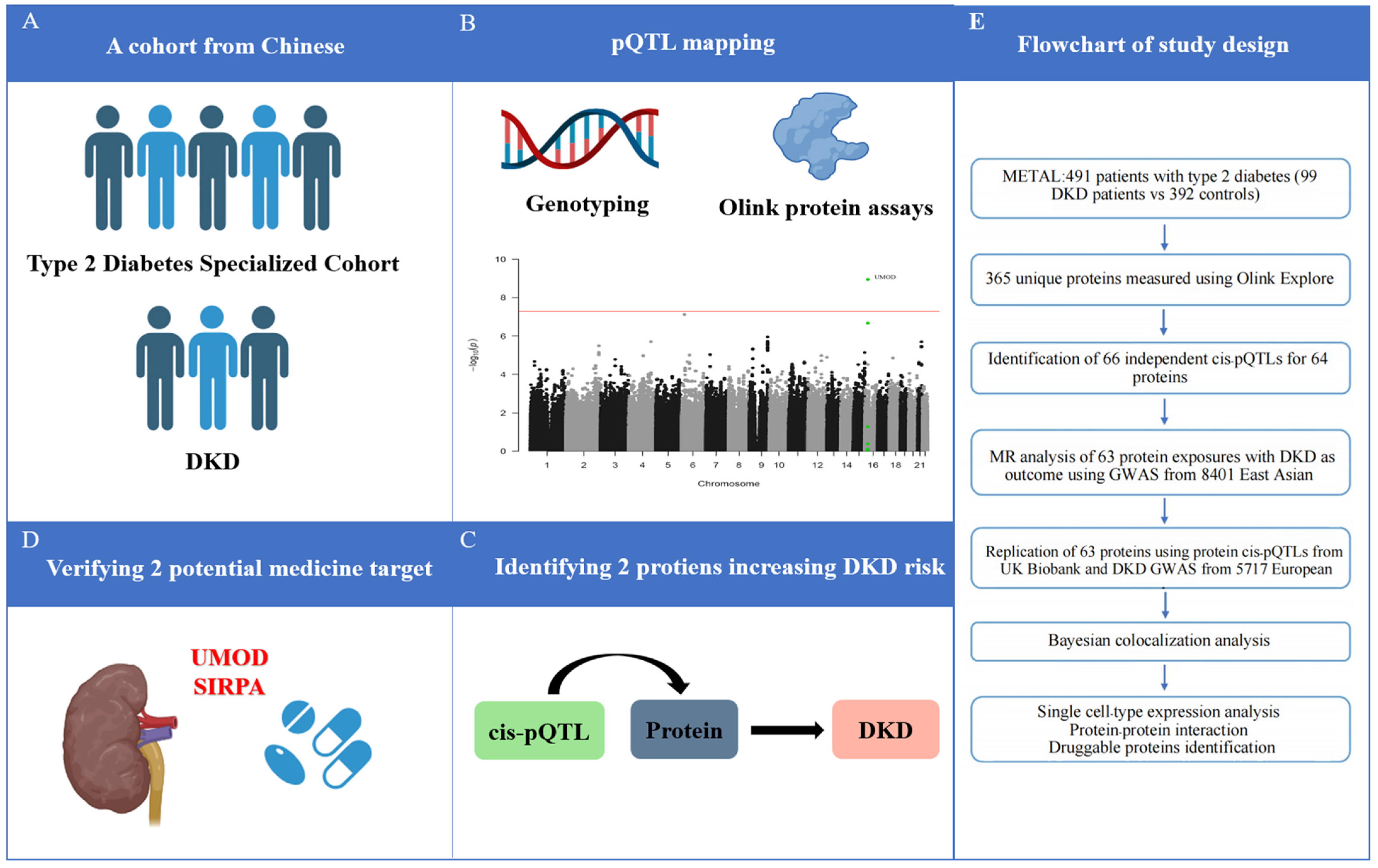 Biomedicines 13 00971 g001