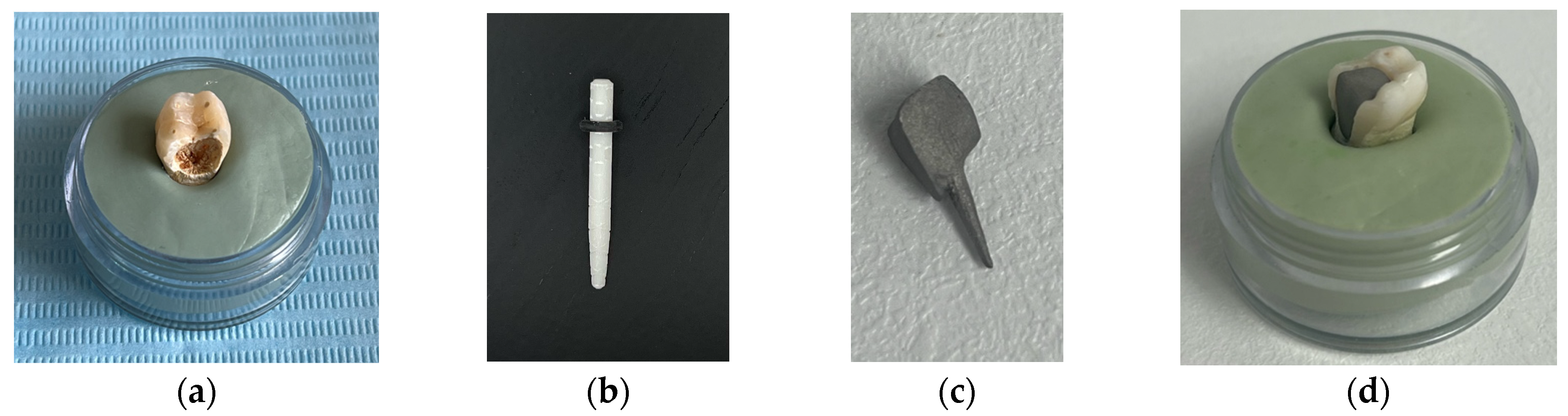 Biomedicines 13 00974 g001