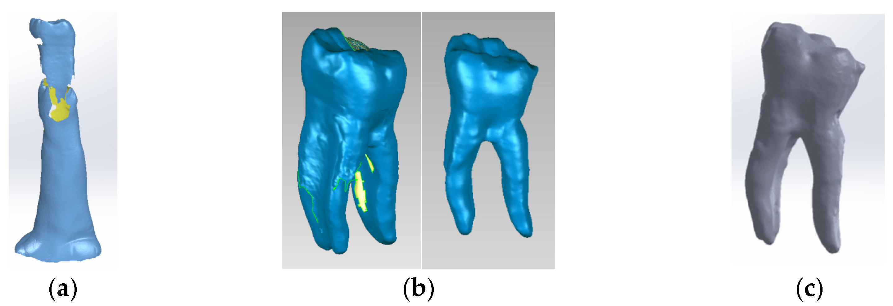 Biomedicines 13 00974 g002