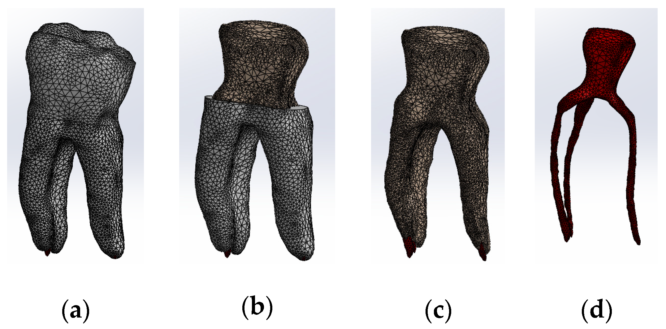 Biomedicines 13 00974 g004