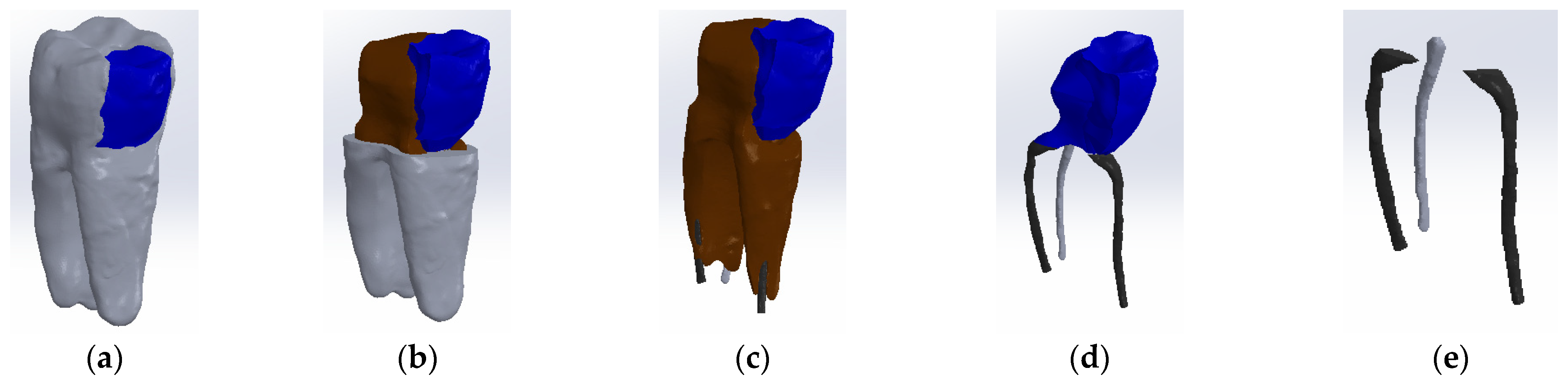 Biomedicines 13 00974 g005
