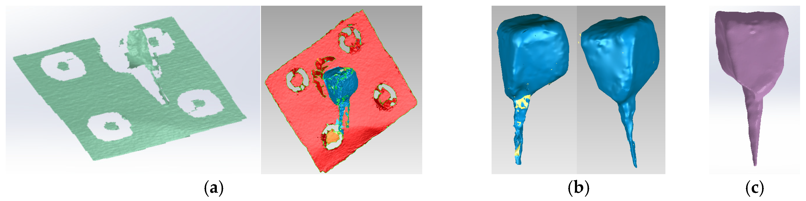 Biomedicines 13 00974 g007