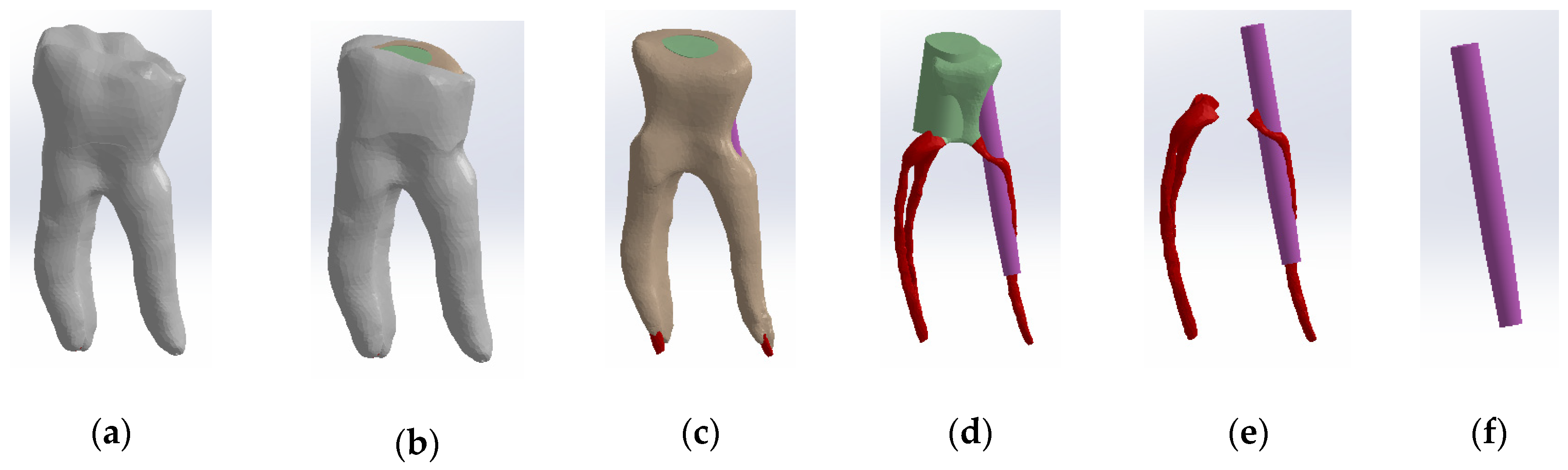 Biomedicines 13 00974 g008
