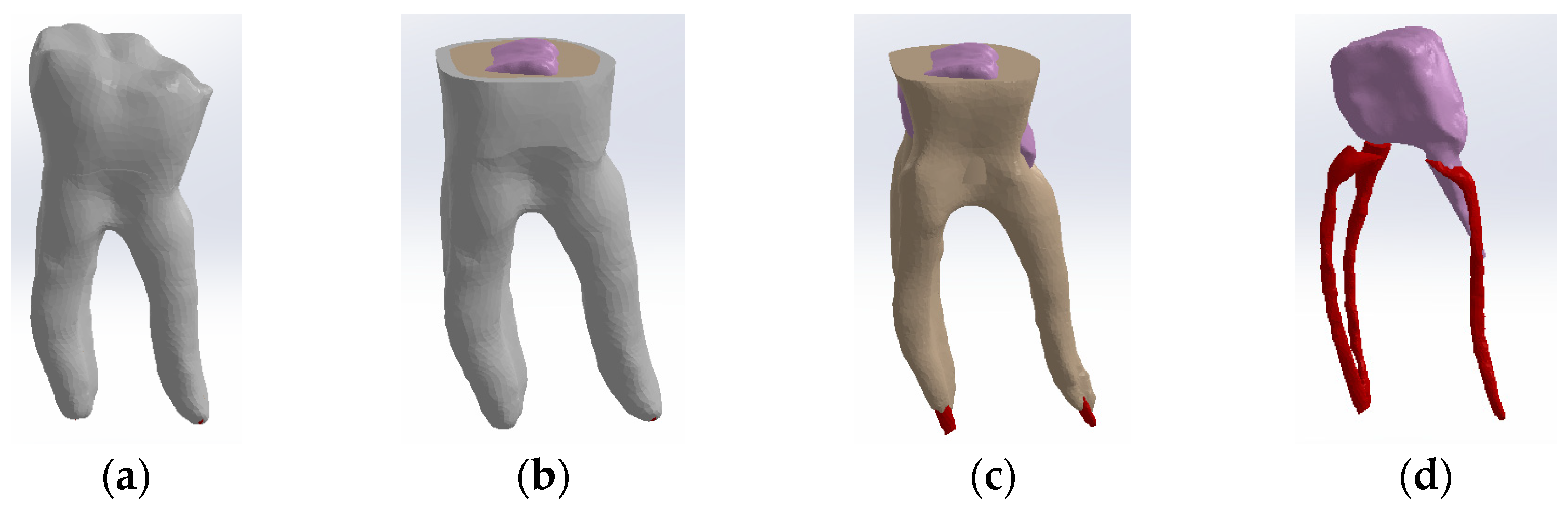 Biomedicines 13 00974 g009