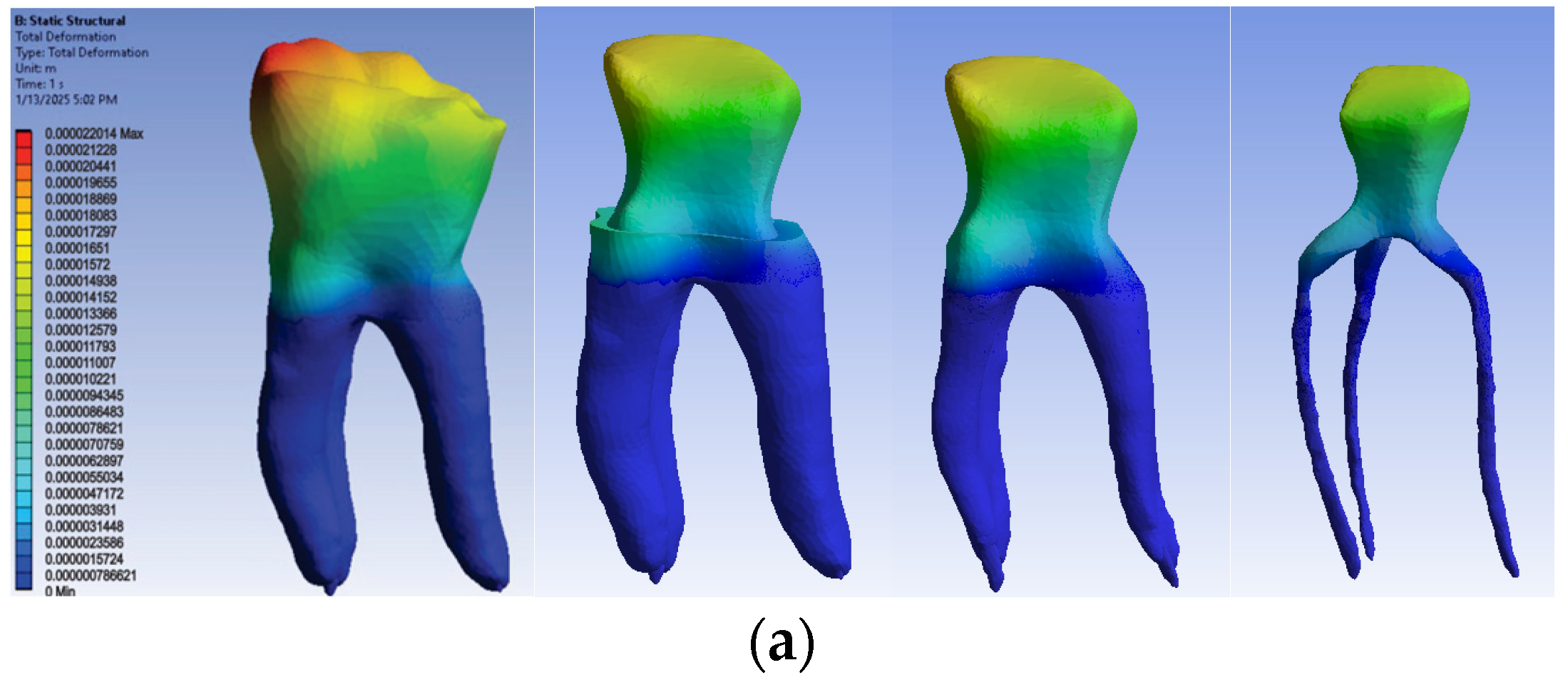 Biomedicines 13 00974 g014a