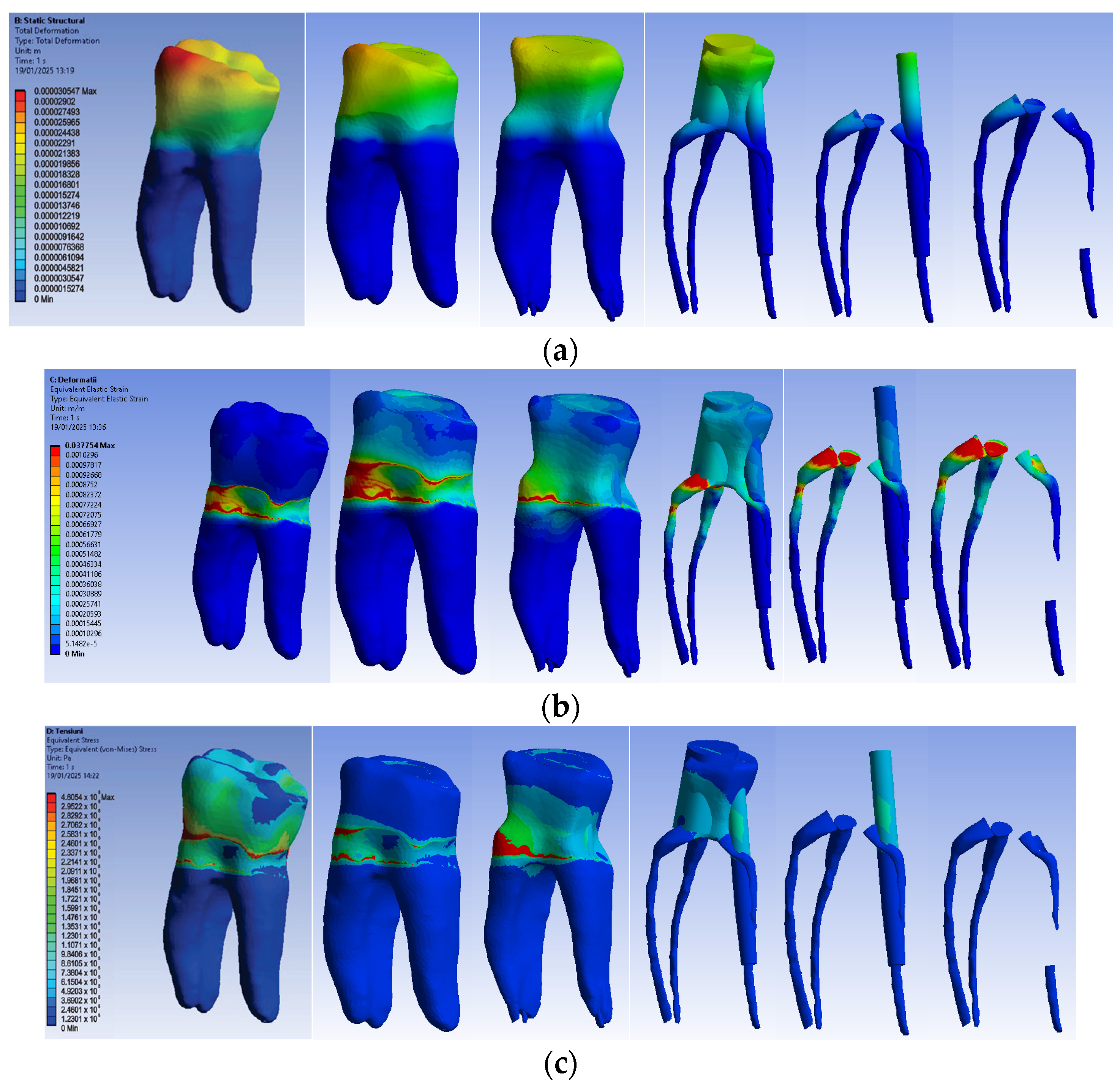 Biomedicines 13 00974 g016