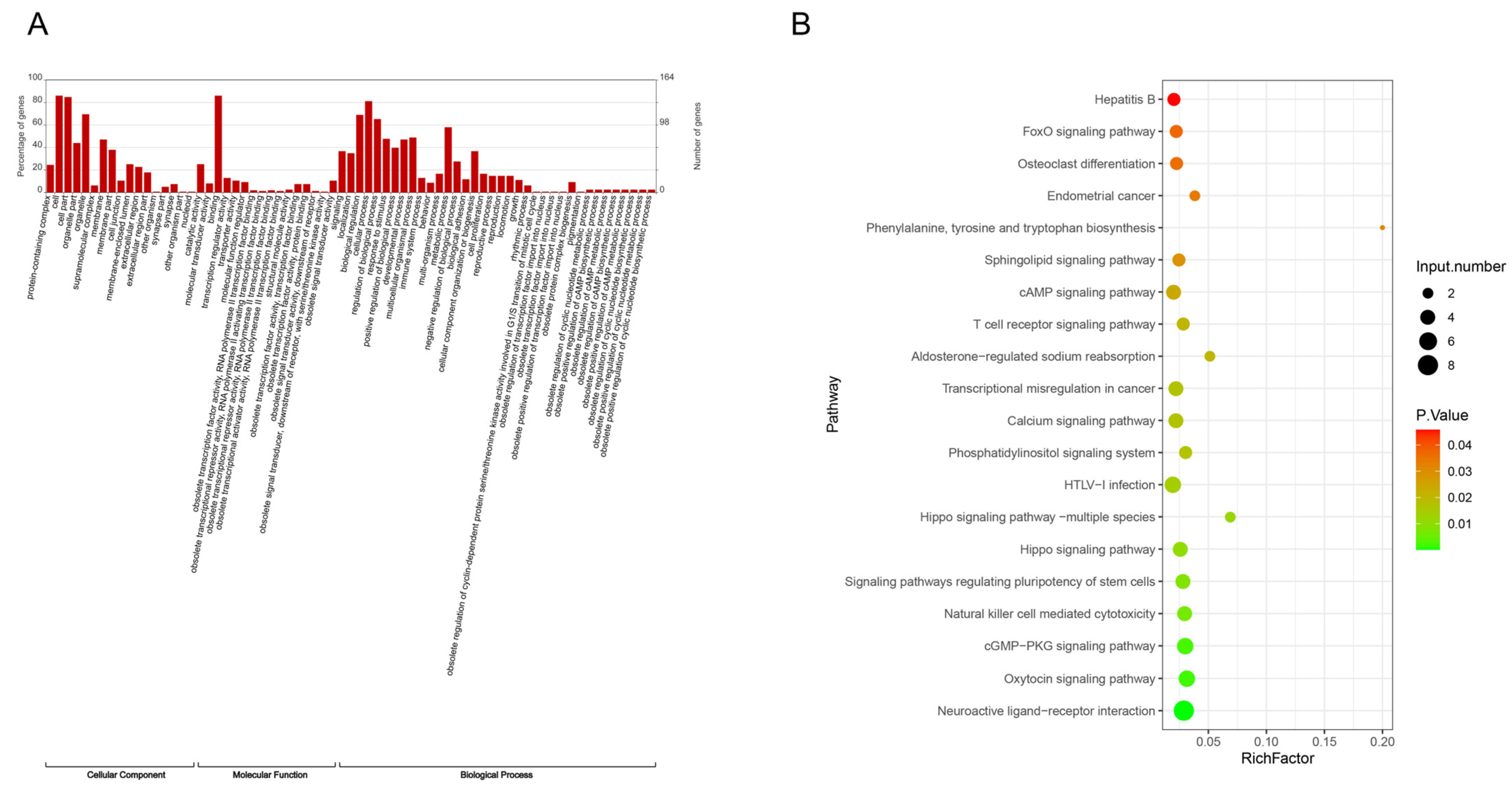 Biomedicines 13 00980 g002