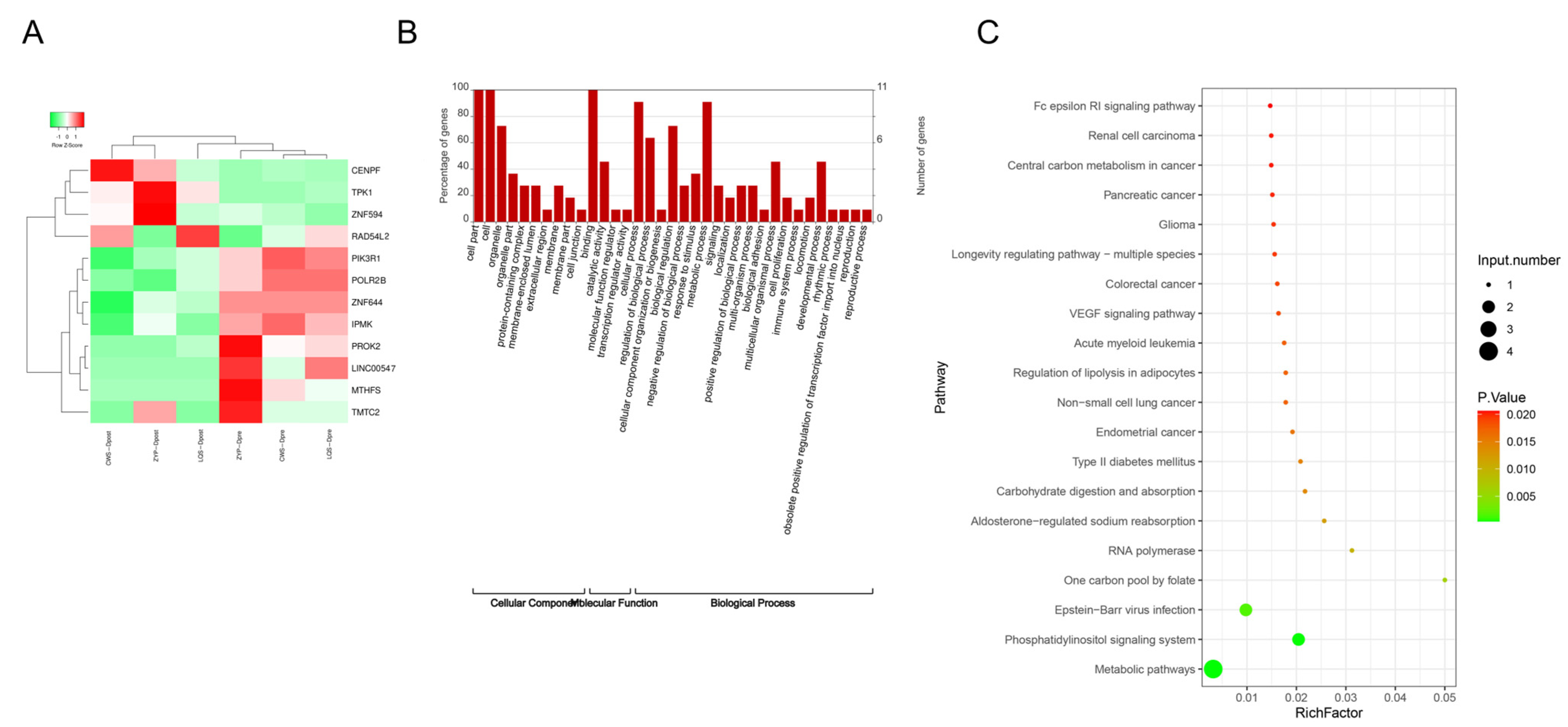 Biomedicines 13 00980 g004