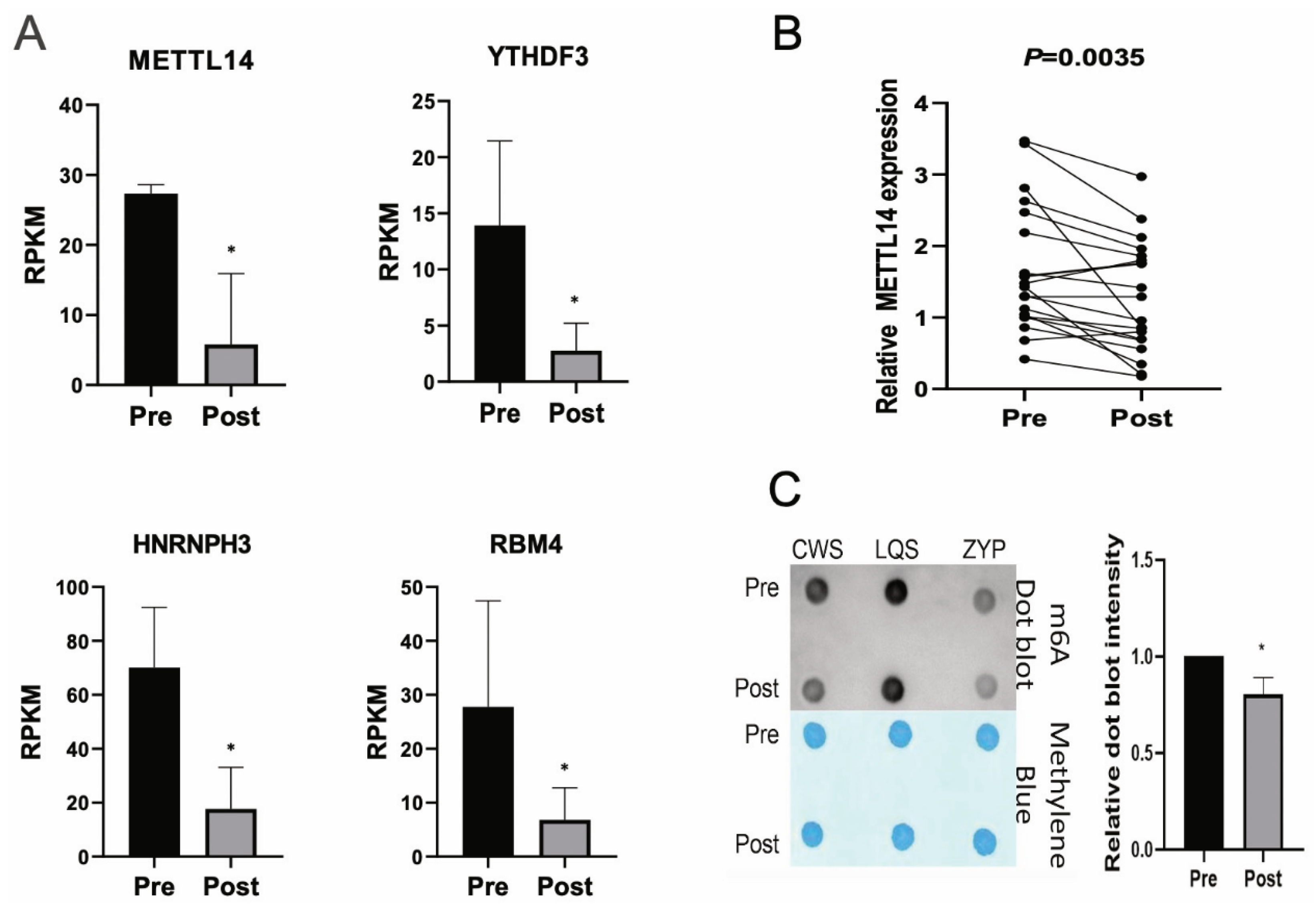 Biomedicines 13 00980 g005