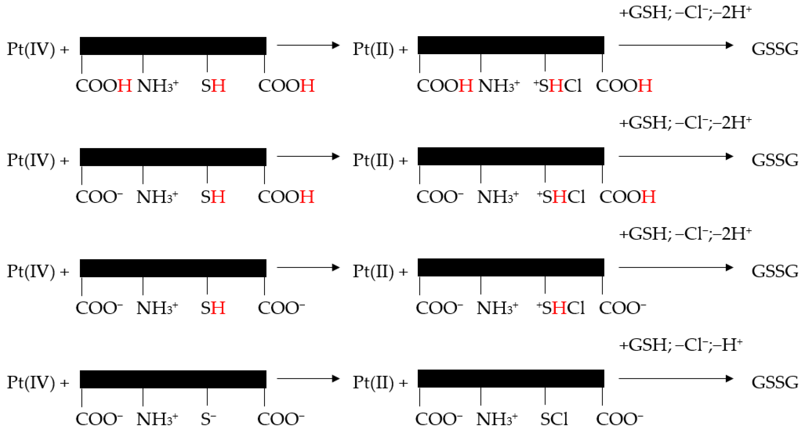 Biomedicines 13 00981 g005