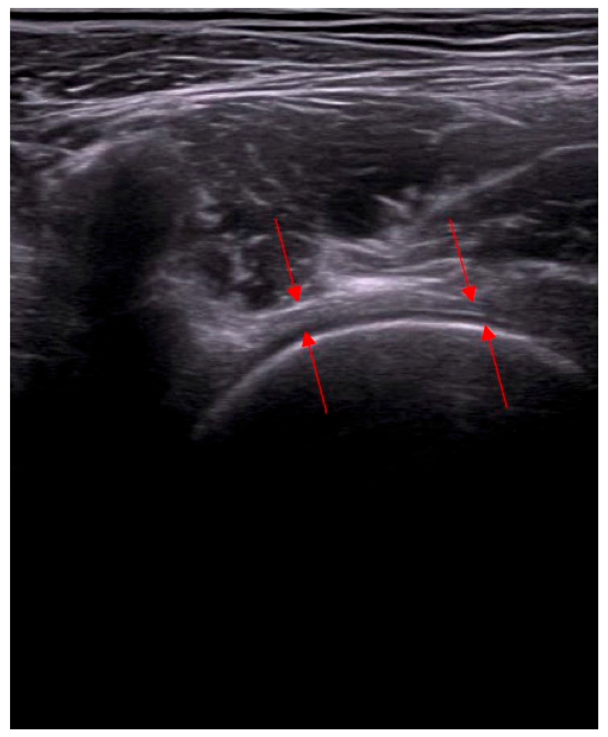 Biomedicines 13 00987 g001