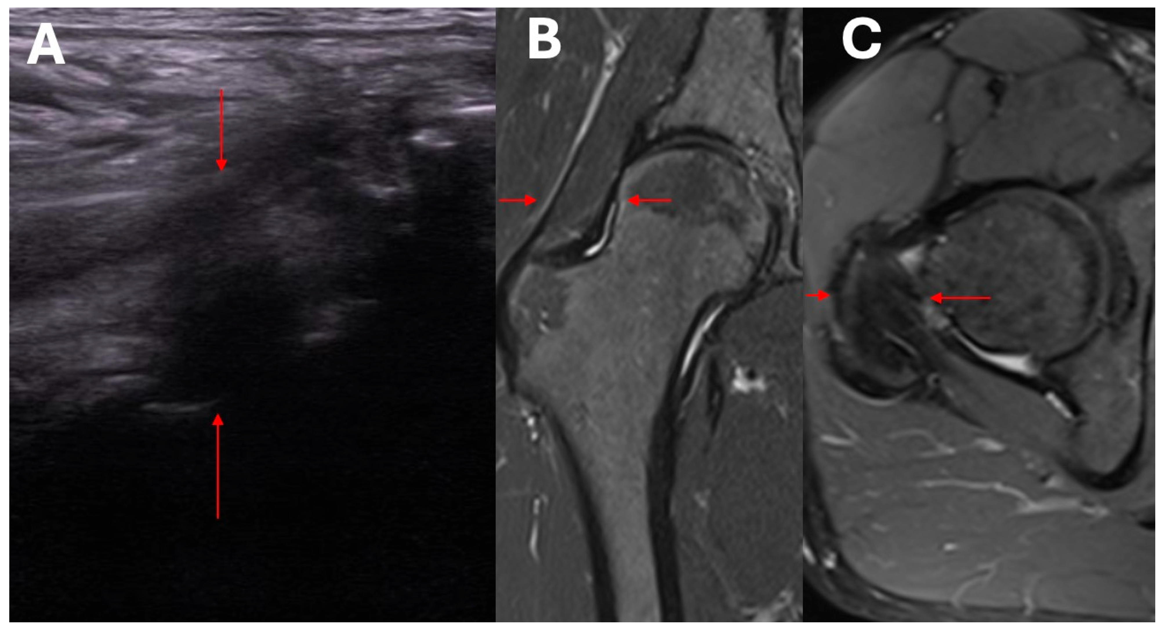 Biomedicines 13 00987 g004