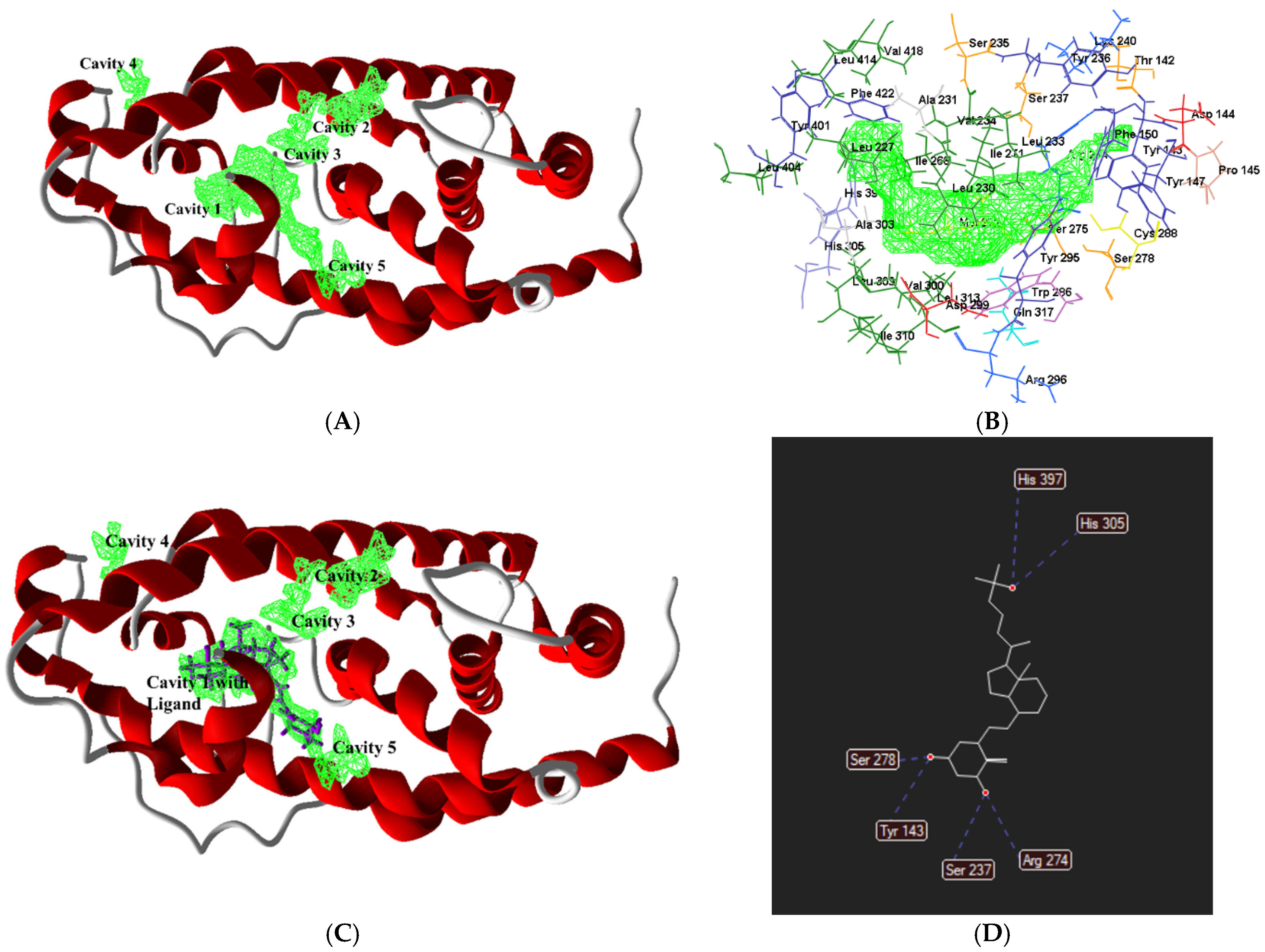Biomedicines 13 01002 g002 Biomedicines 13 01002 g002