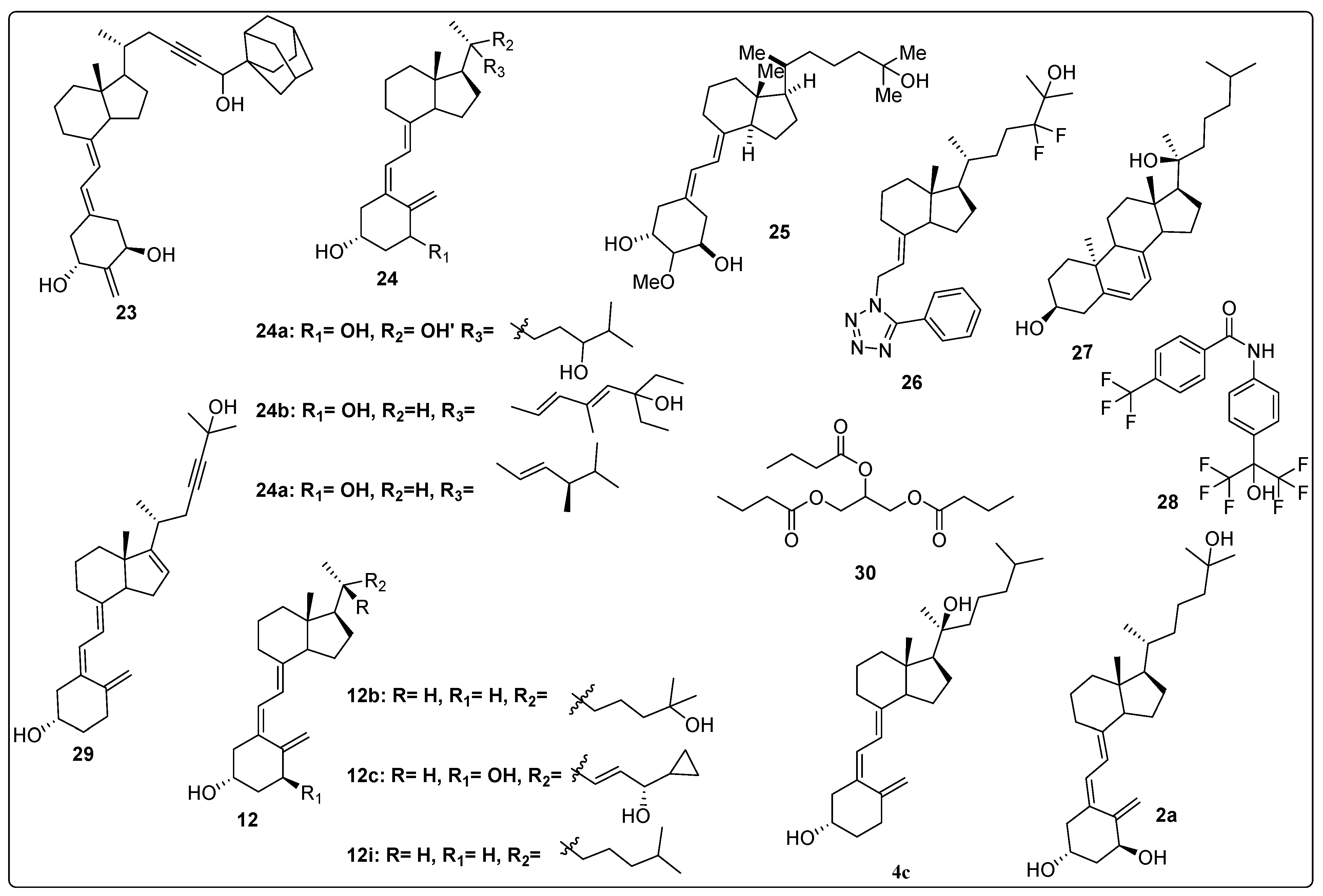 Biomedicines 13 01002 g007 Biomedicines 13 01002 g007