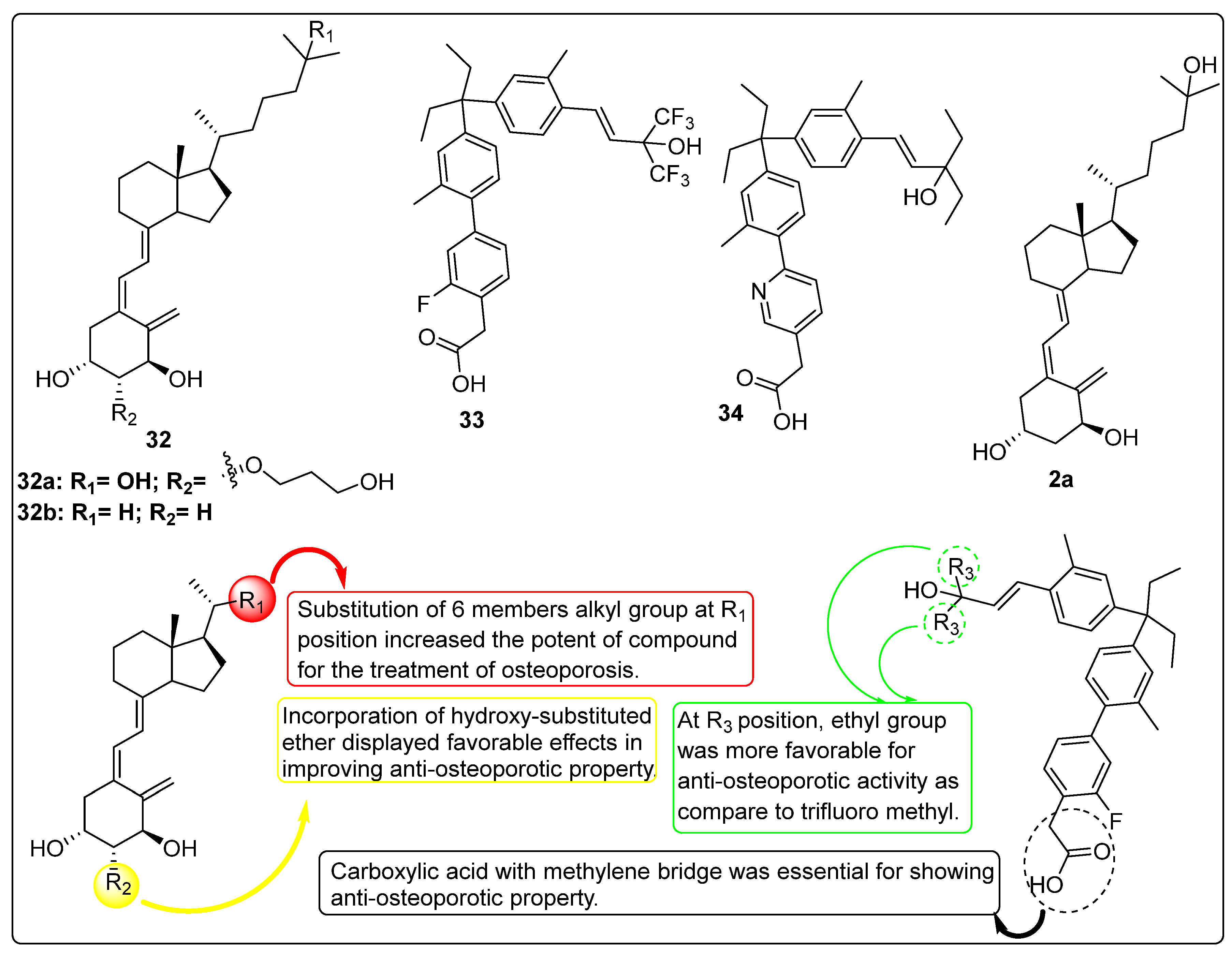 Biomedicines 13 01002 g008 Biomedicines 13 01002 g008